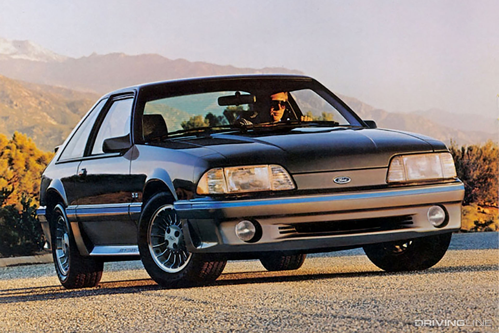 Ford Mustang GT 5.0 Gray