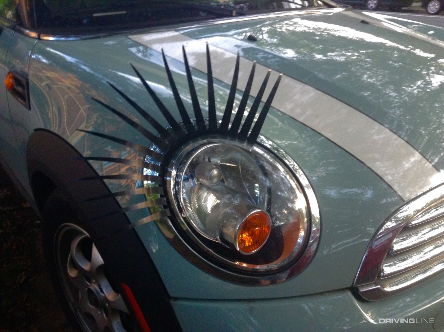 Car lashes on Mini Cooper
