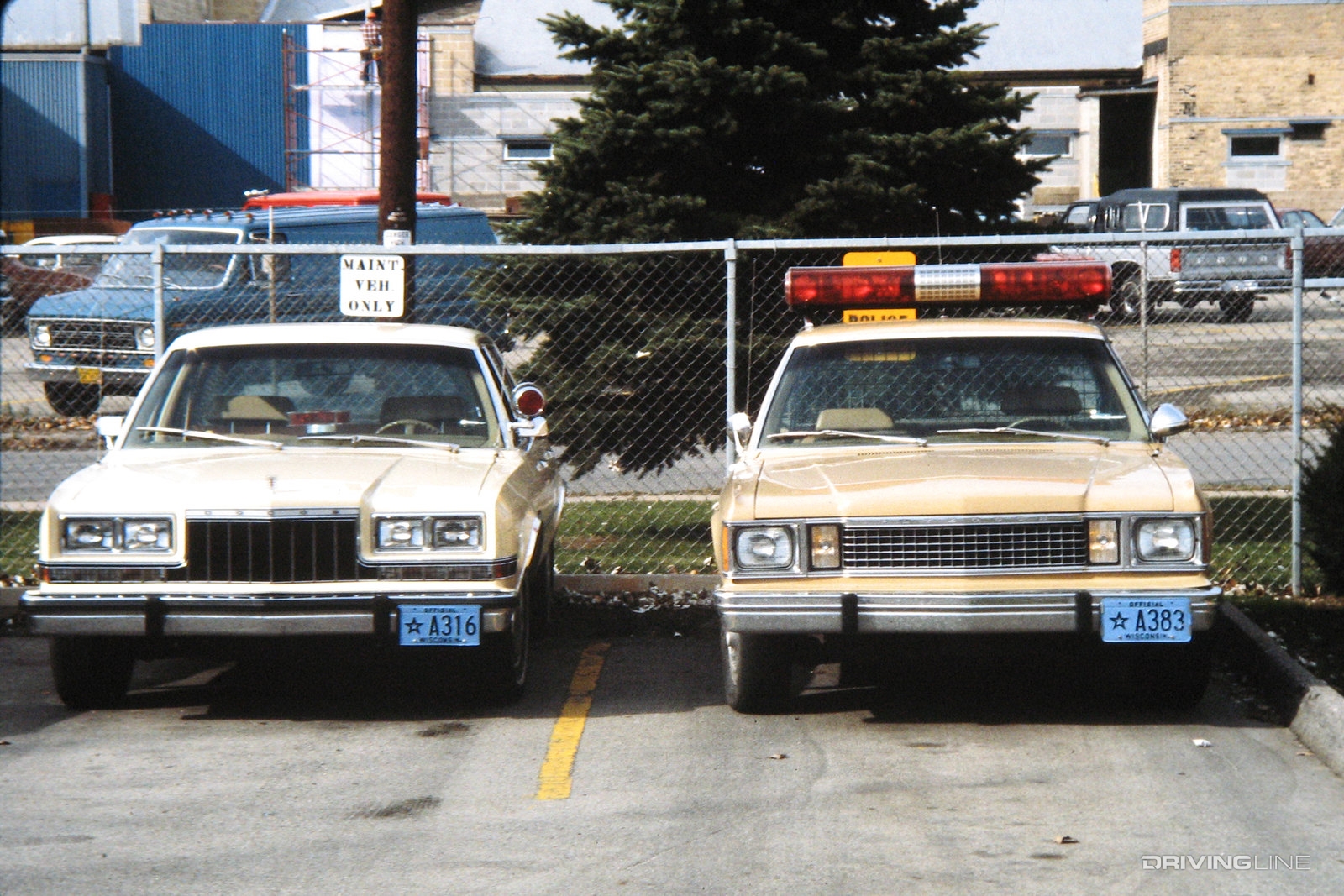 Dodge Diplomat and Plymouth Volare