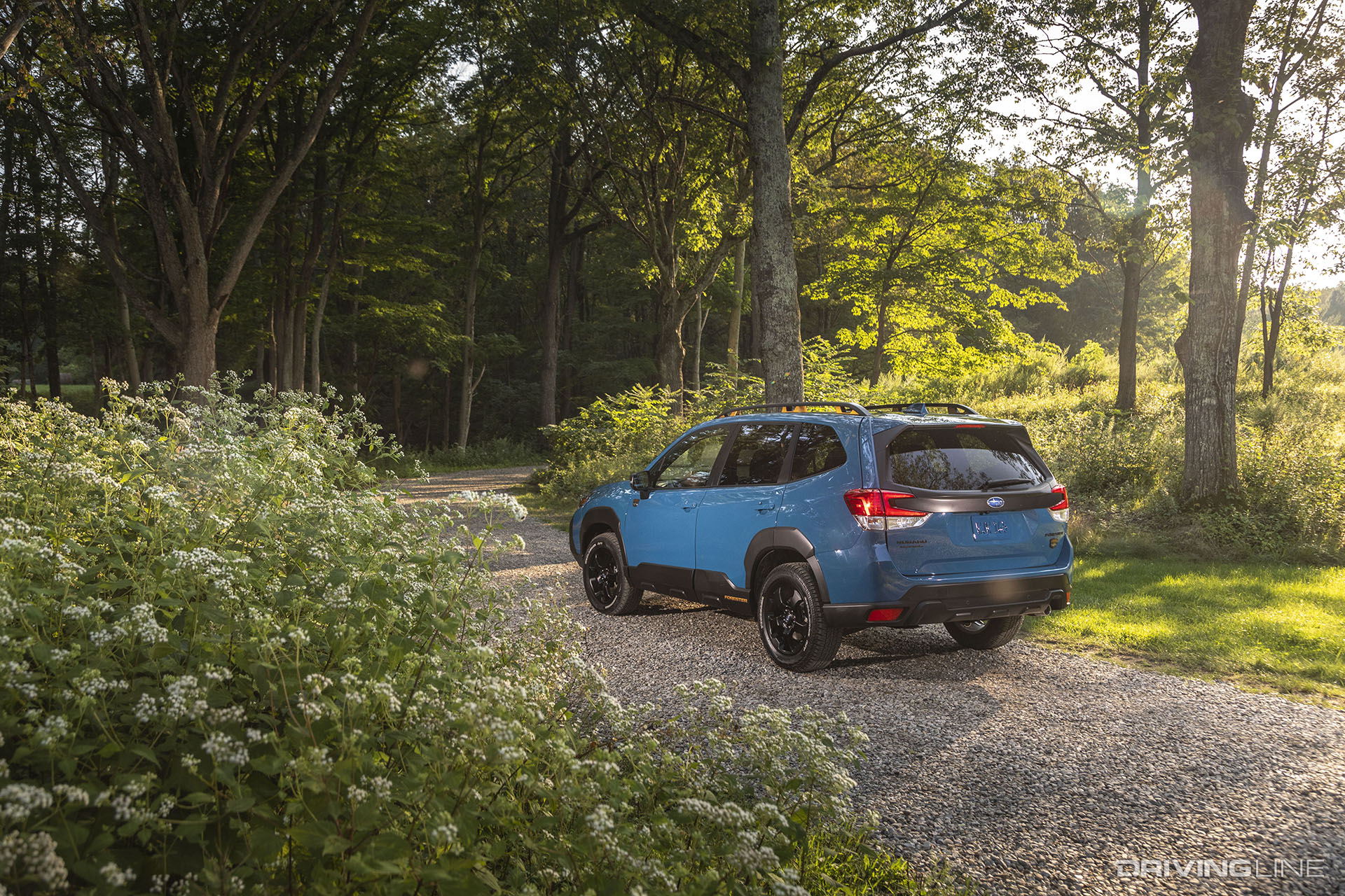 Subaru Forester Wilderness Blue