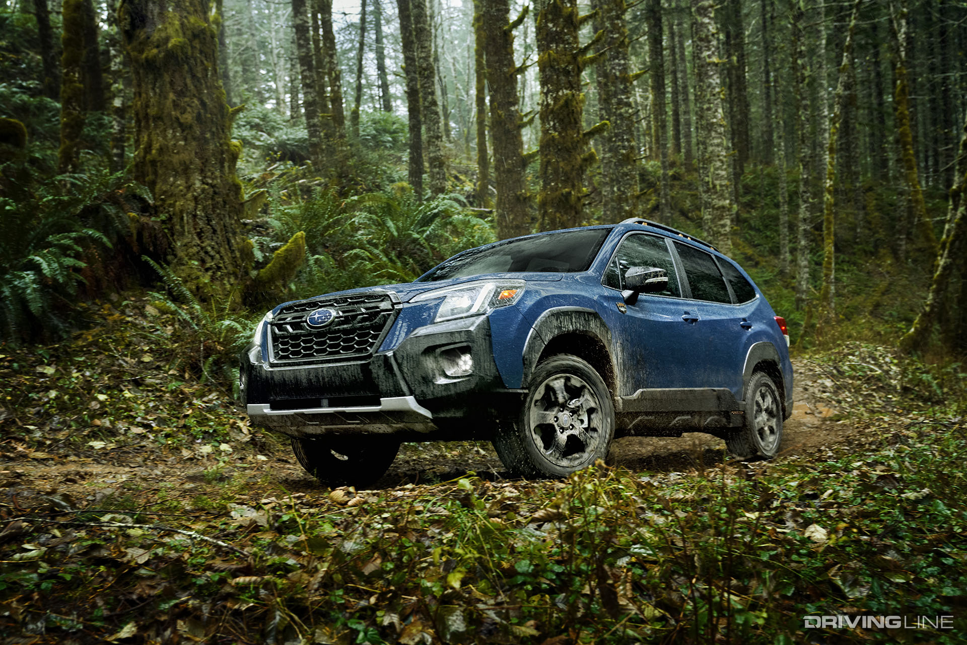2022 Subaru Forester Wilderness on Trail