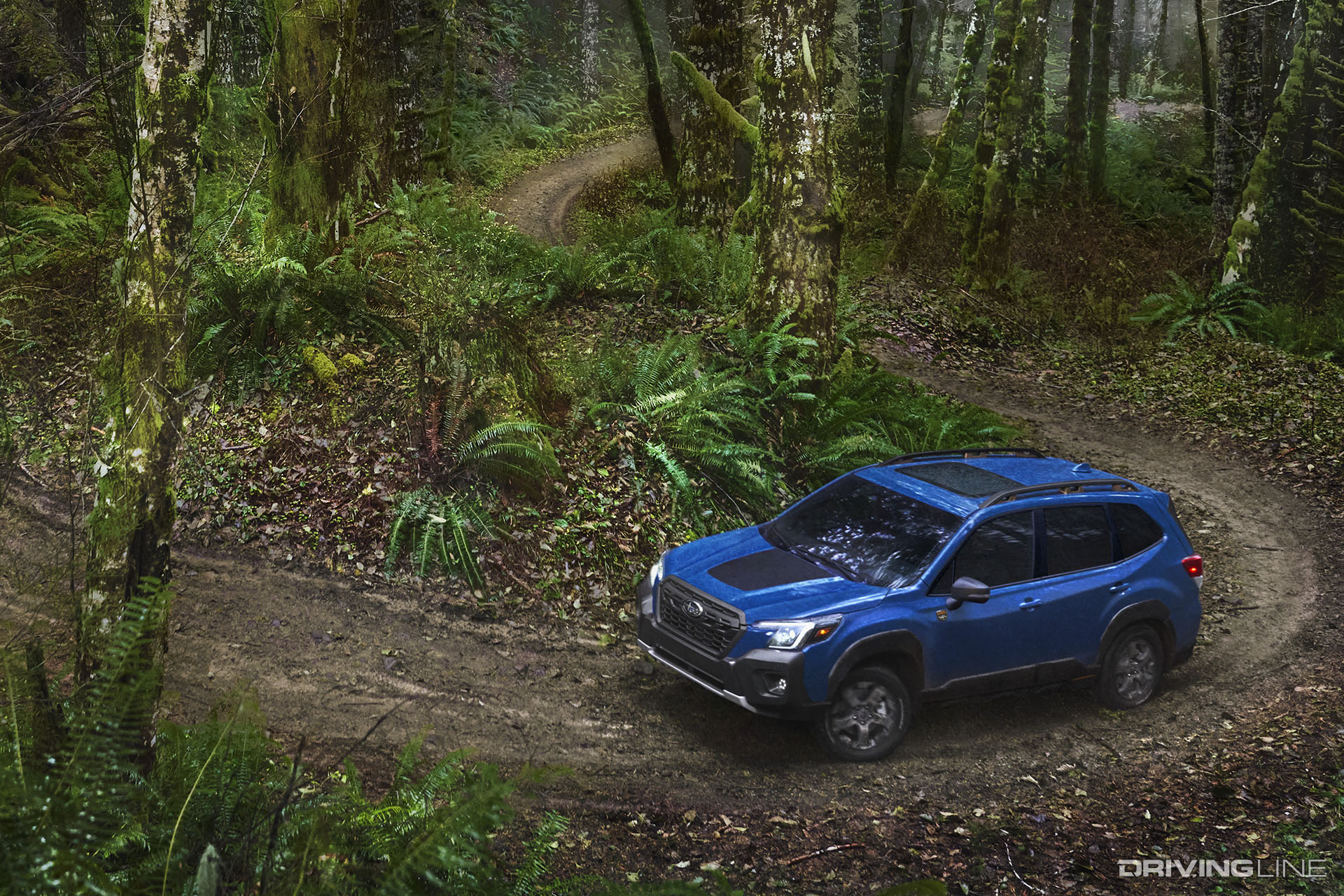 Subaru Forester Wilderness on Trail