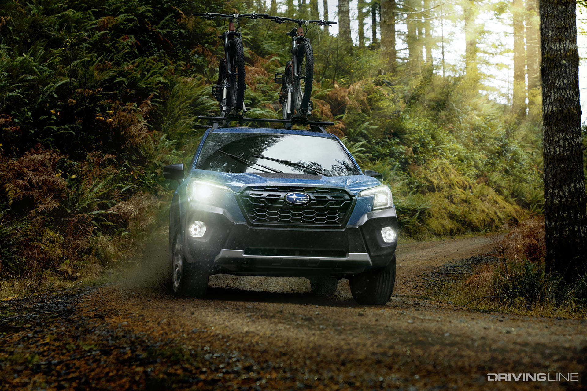 2022 Subaru Forester Wilderness Carrying Bikes