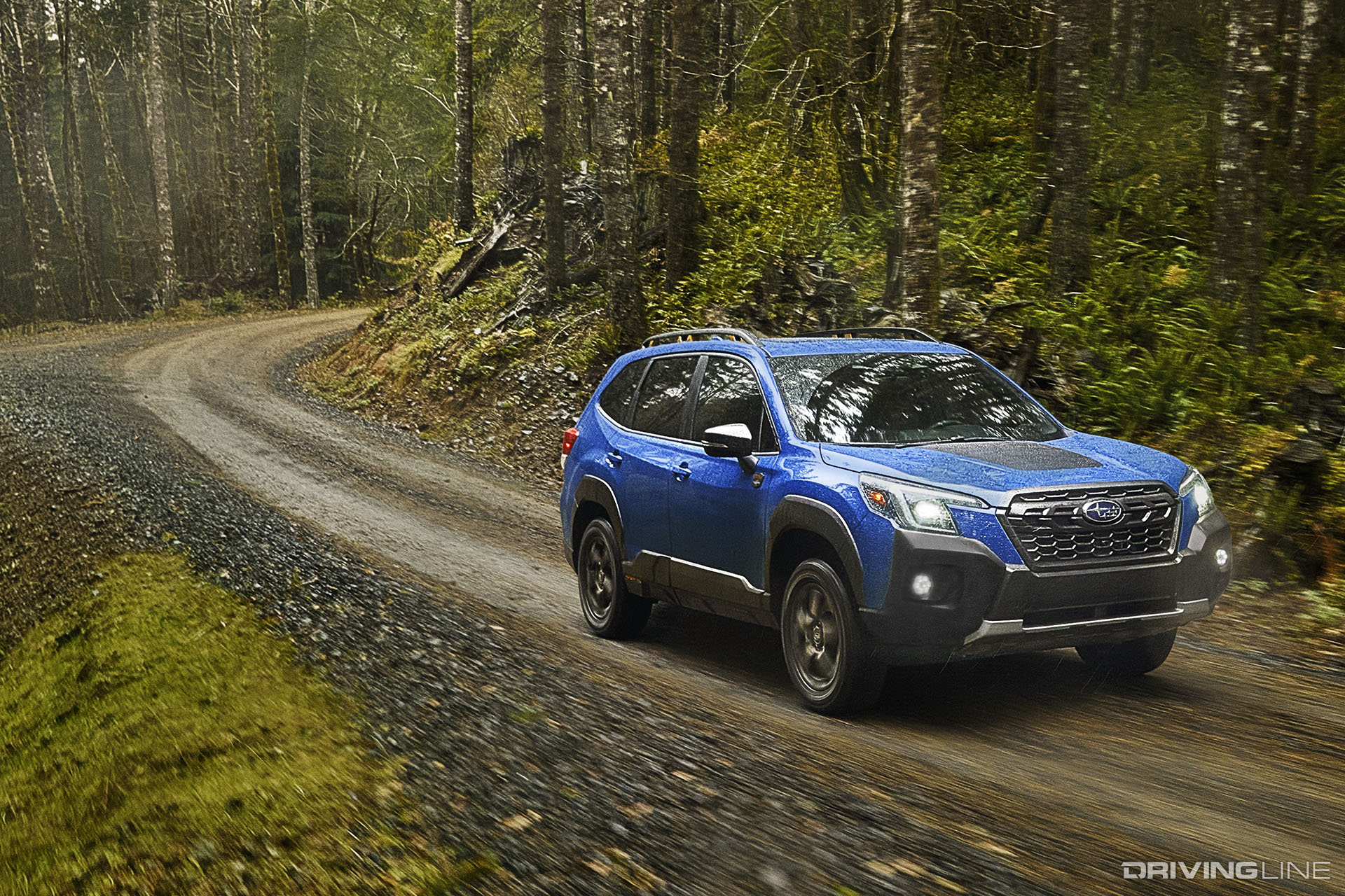 Subaru Forester Wilderness on Trail