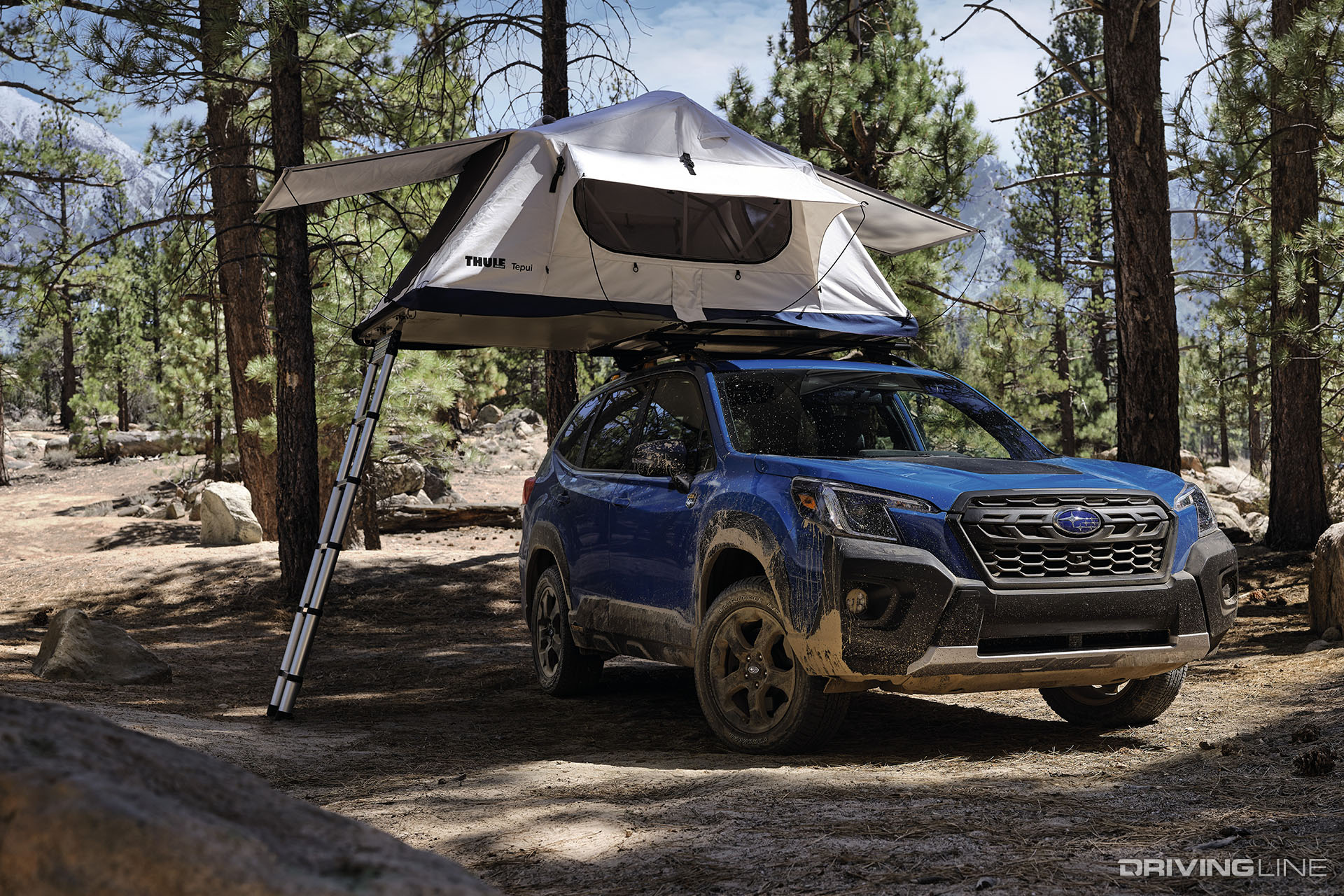 2022 Subaru Forester Wilderness Roof Tent