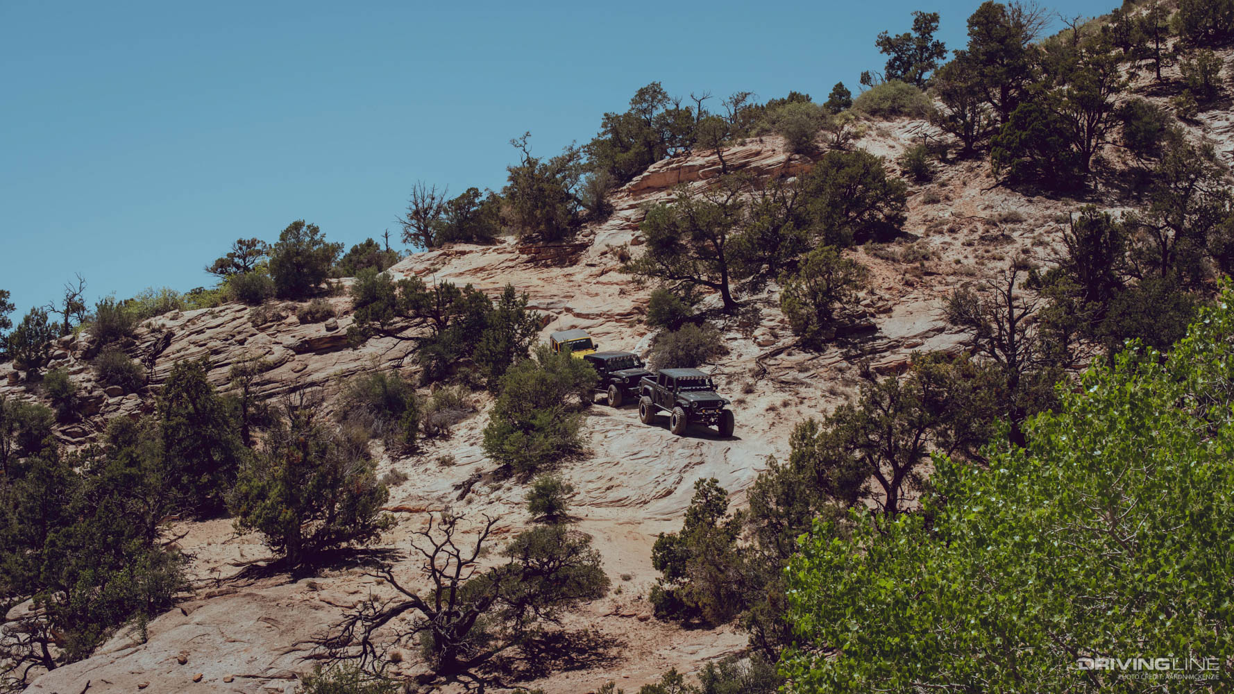 Driving Line's On The Trail Video Series at Hog Canyon OHV