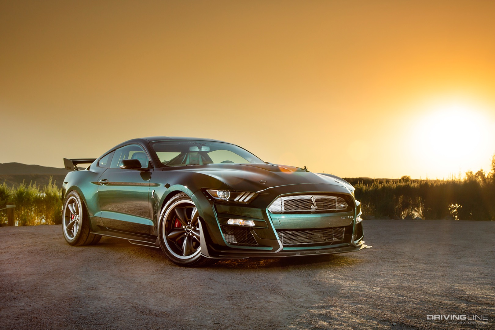 Front of Darroll Myers' Steeda 2020 McQueen Racing Ford GT500