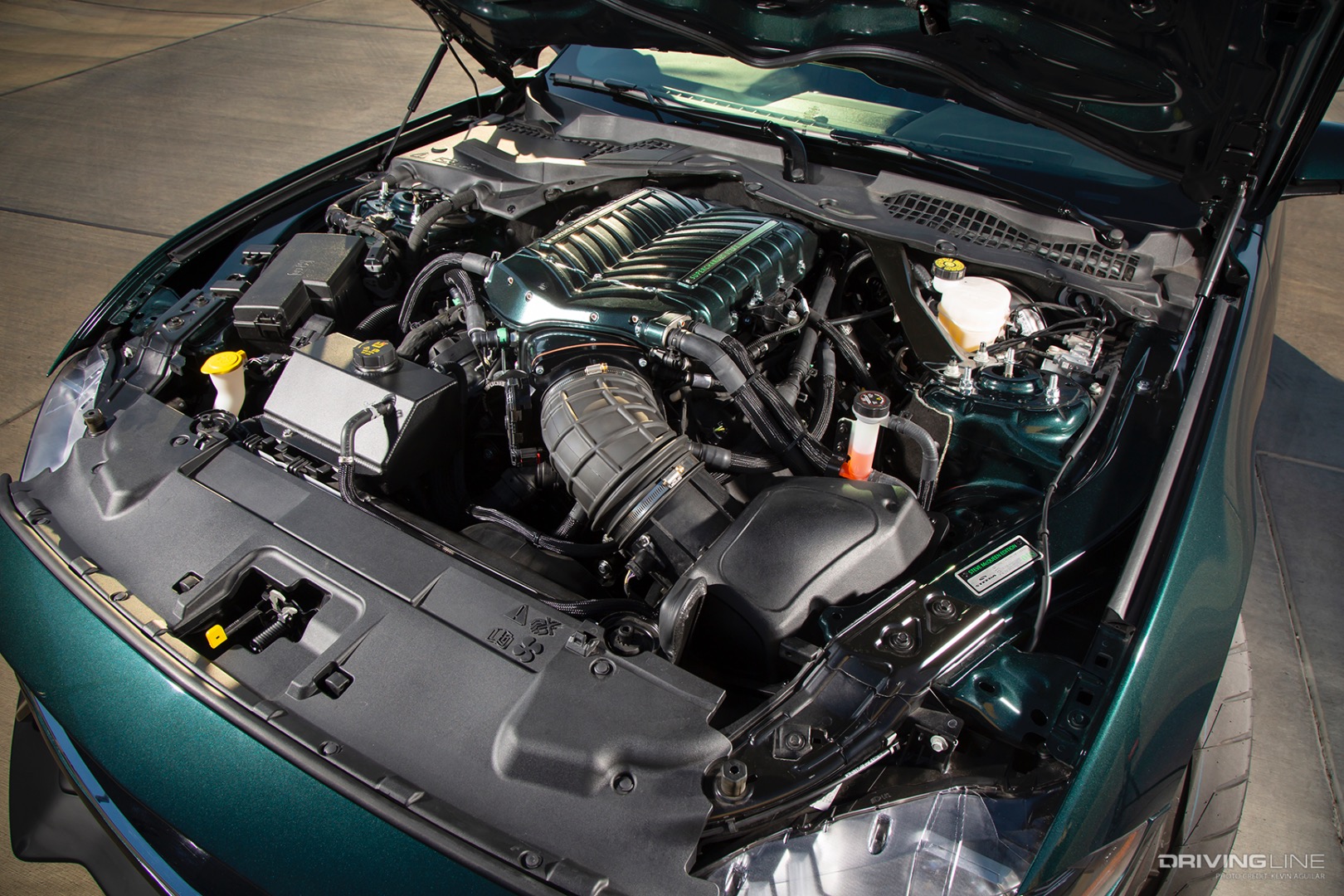 Engine of Darroll Myers’ Steeda 2019 Steve McQueen Bullitt