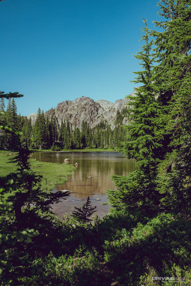 Fortune Creek and Gallagher Lake OHV
