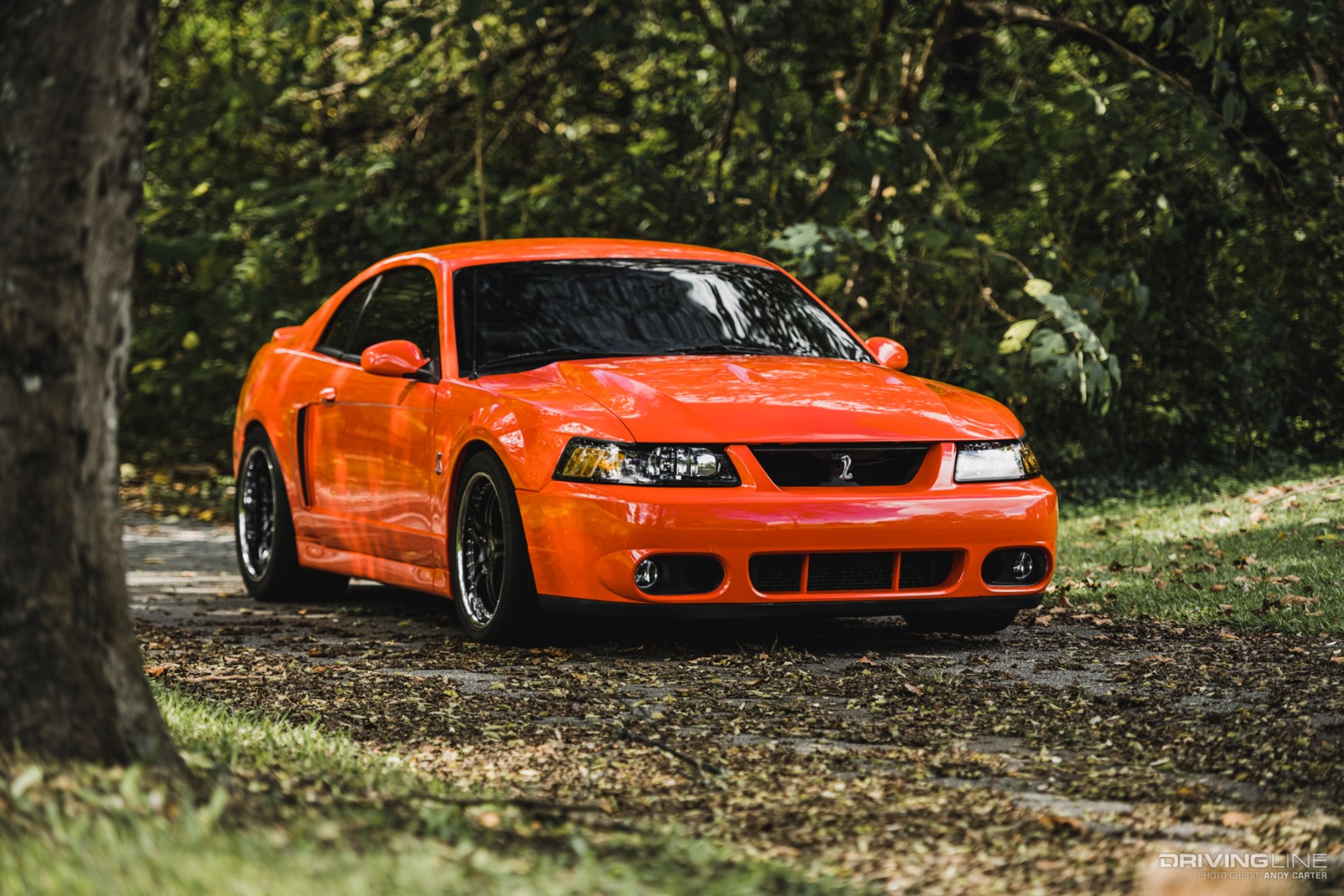 Comp Orange Terminator Mustang