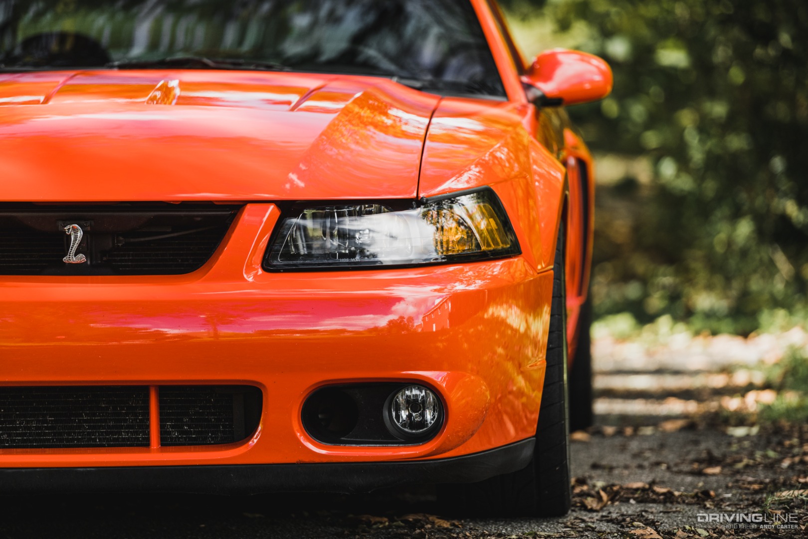 2004 Mustang Terminator front bumper