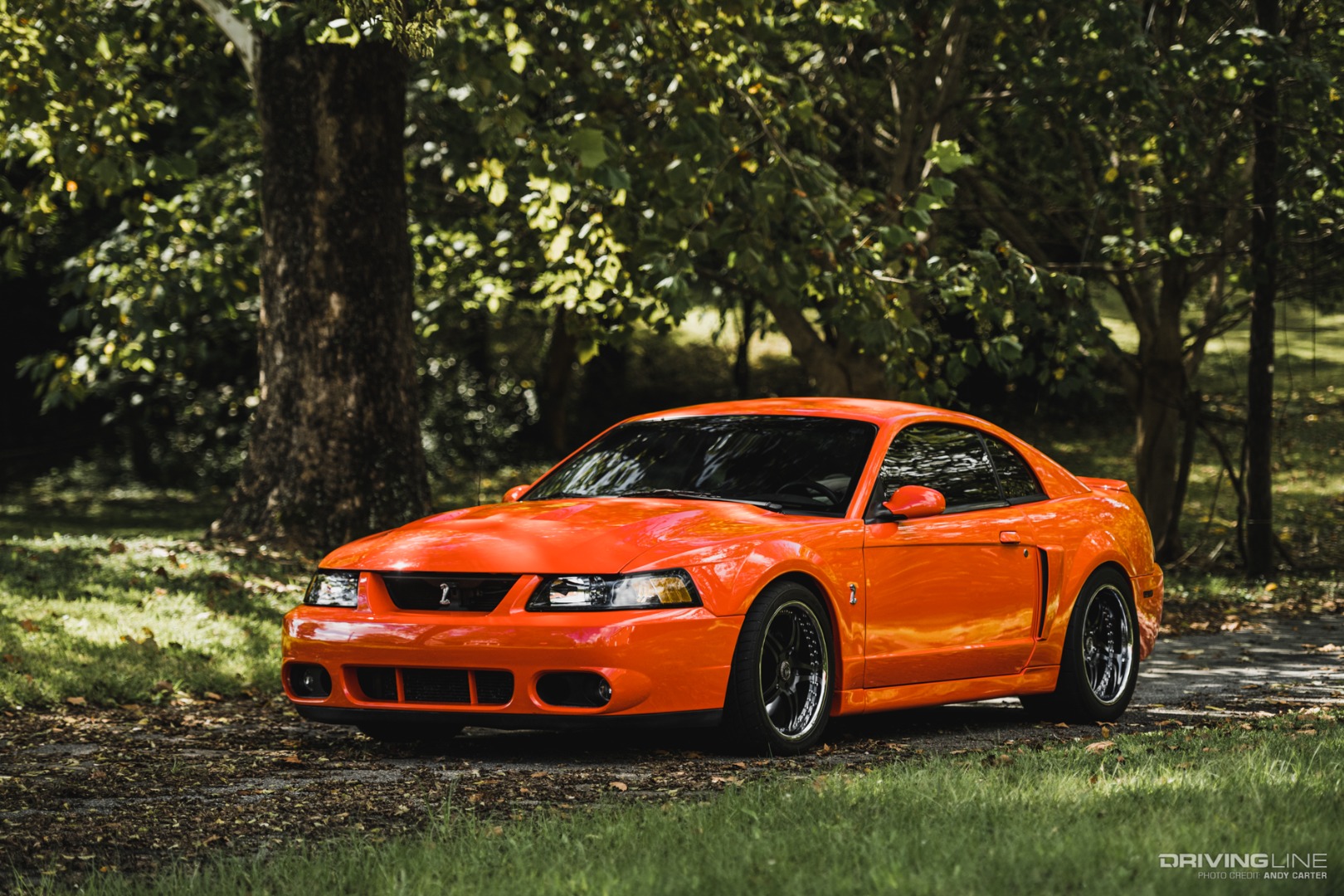 2004 Ford Mustang Cobra front