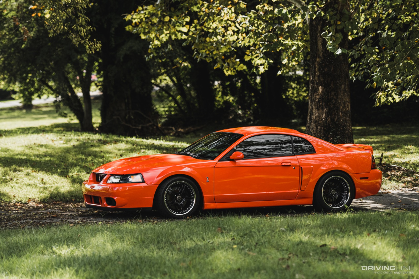 2004 Competition Orange Mustang SVT Terminator