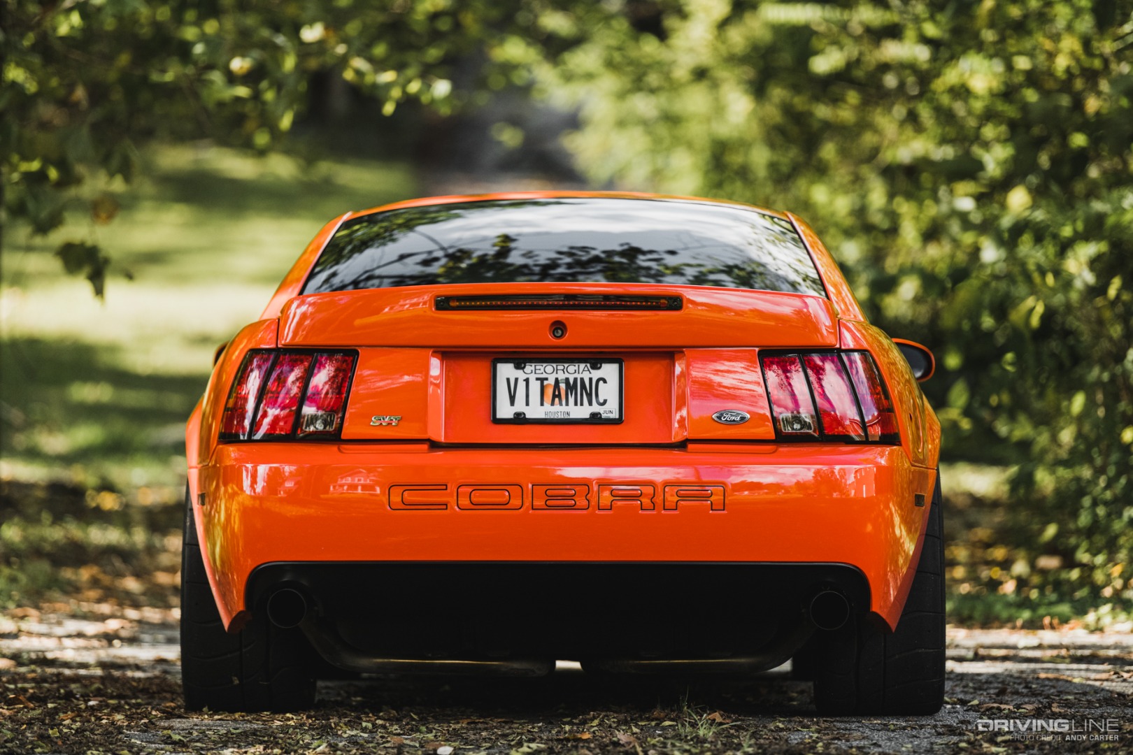 2004 Mustang Cobra rear end