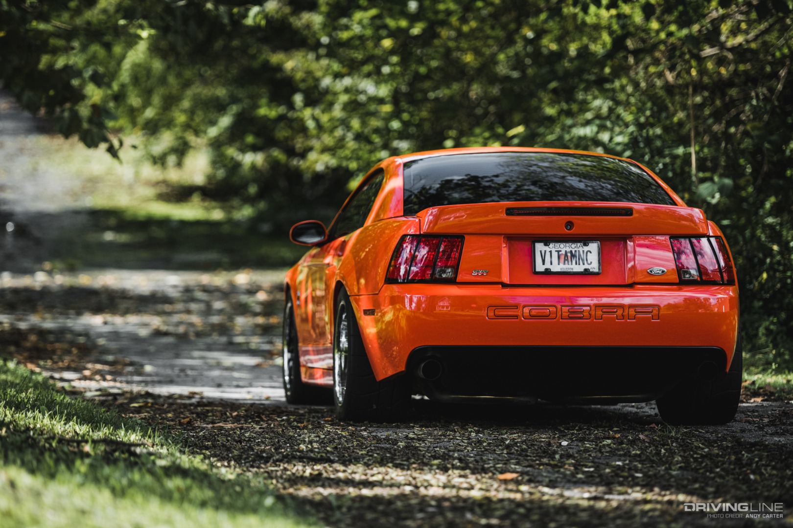 Rear end of Ford Mustang Cobra Terminator