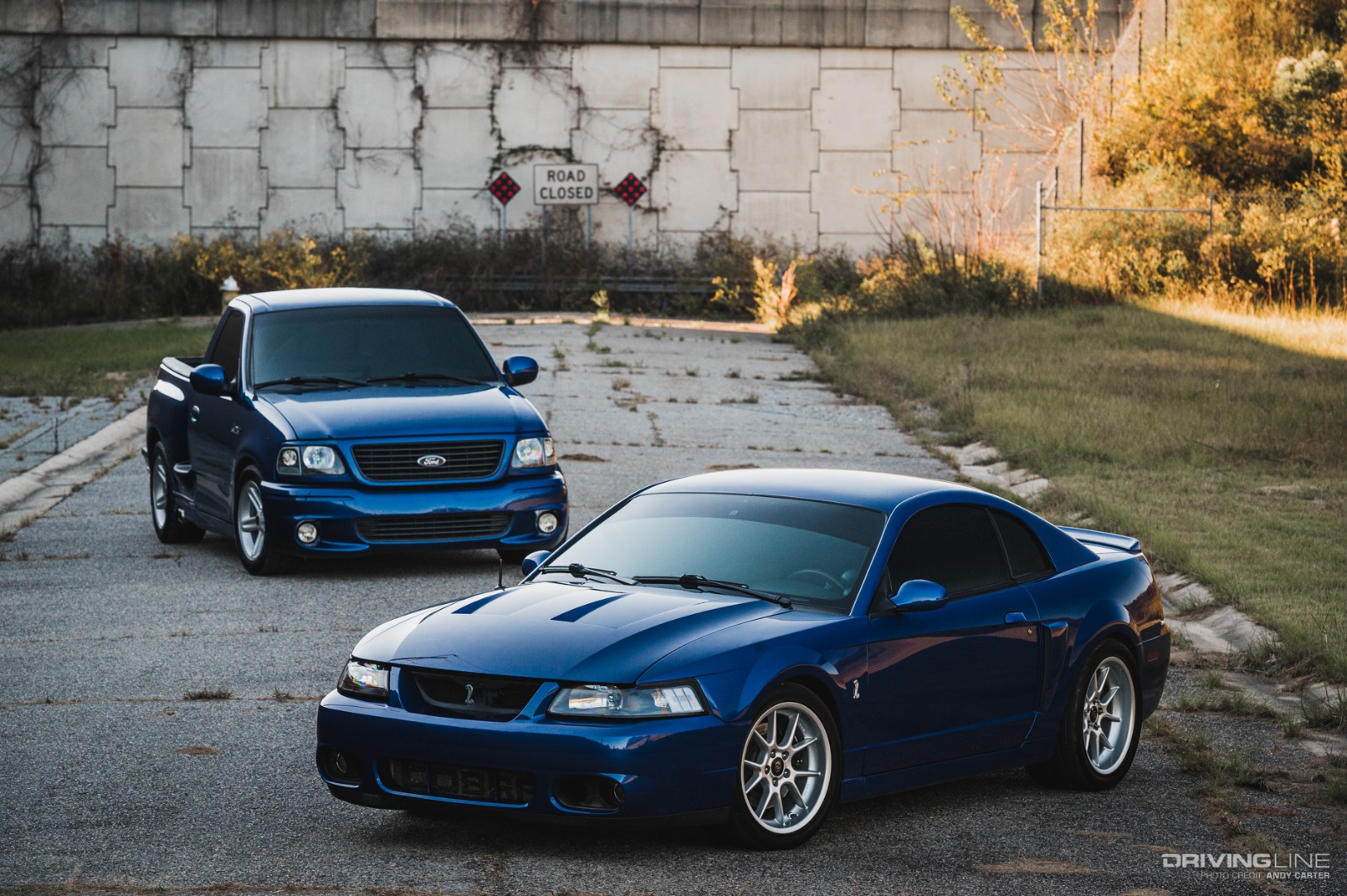 Sonic Blue Ford Cobra and Lightning