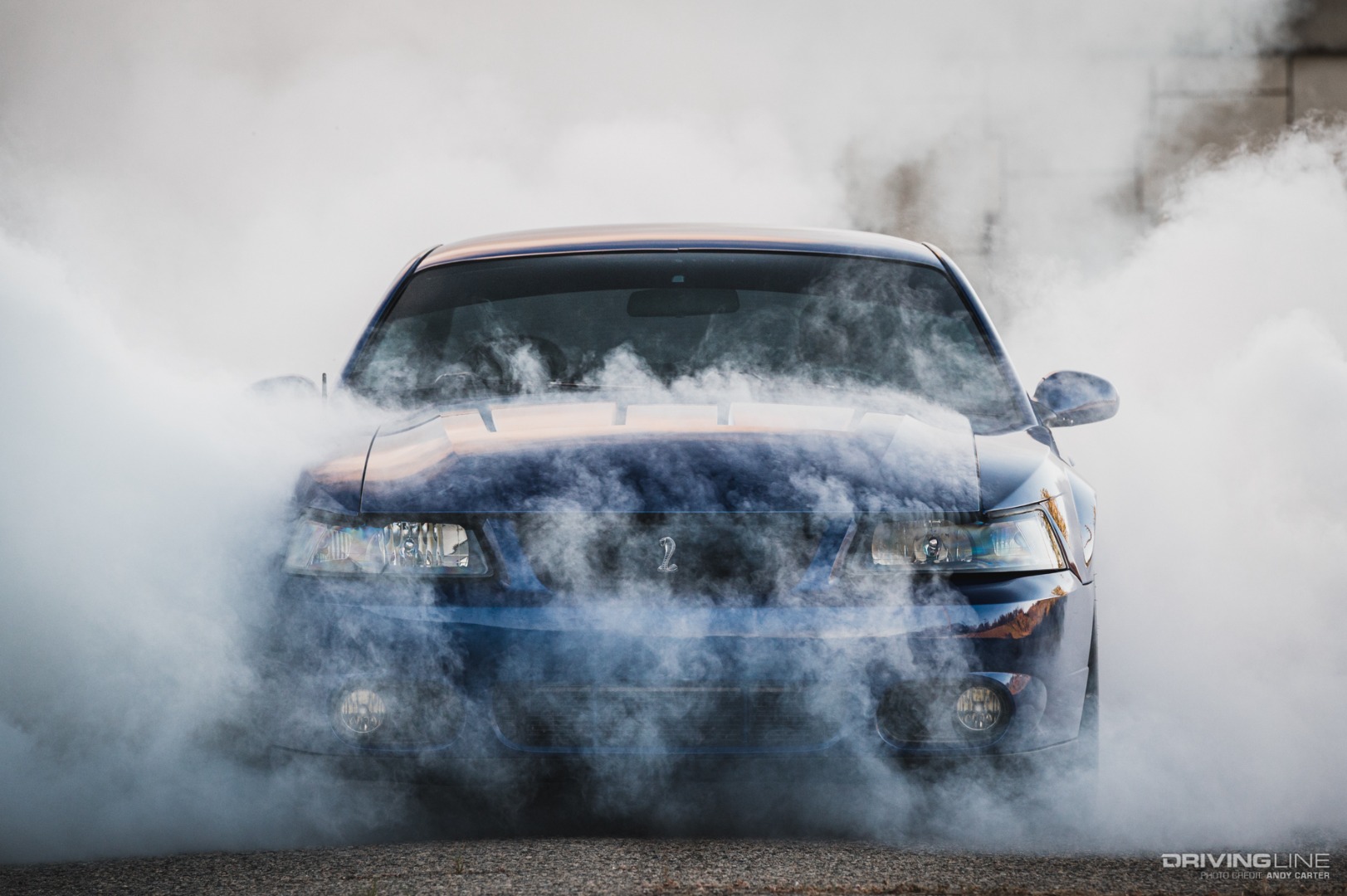 Ford Terminator burnout