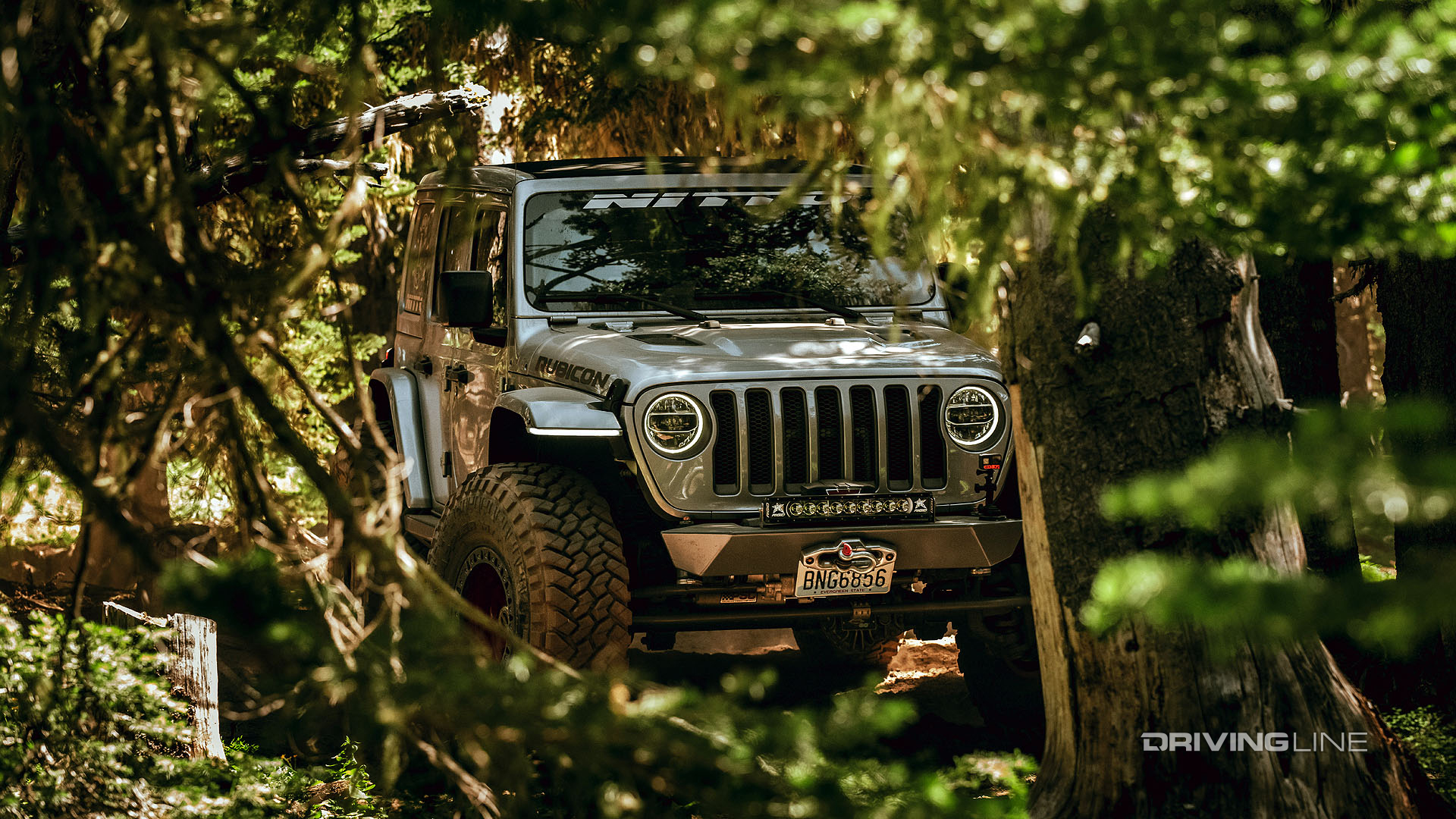 jeep running forest trail in washington