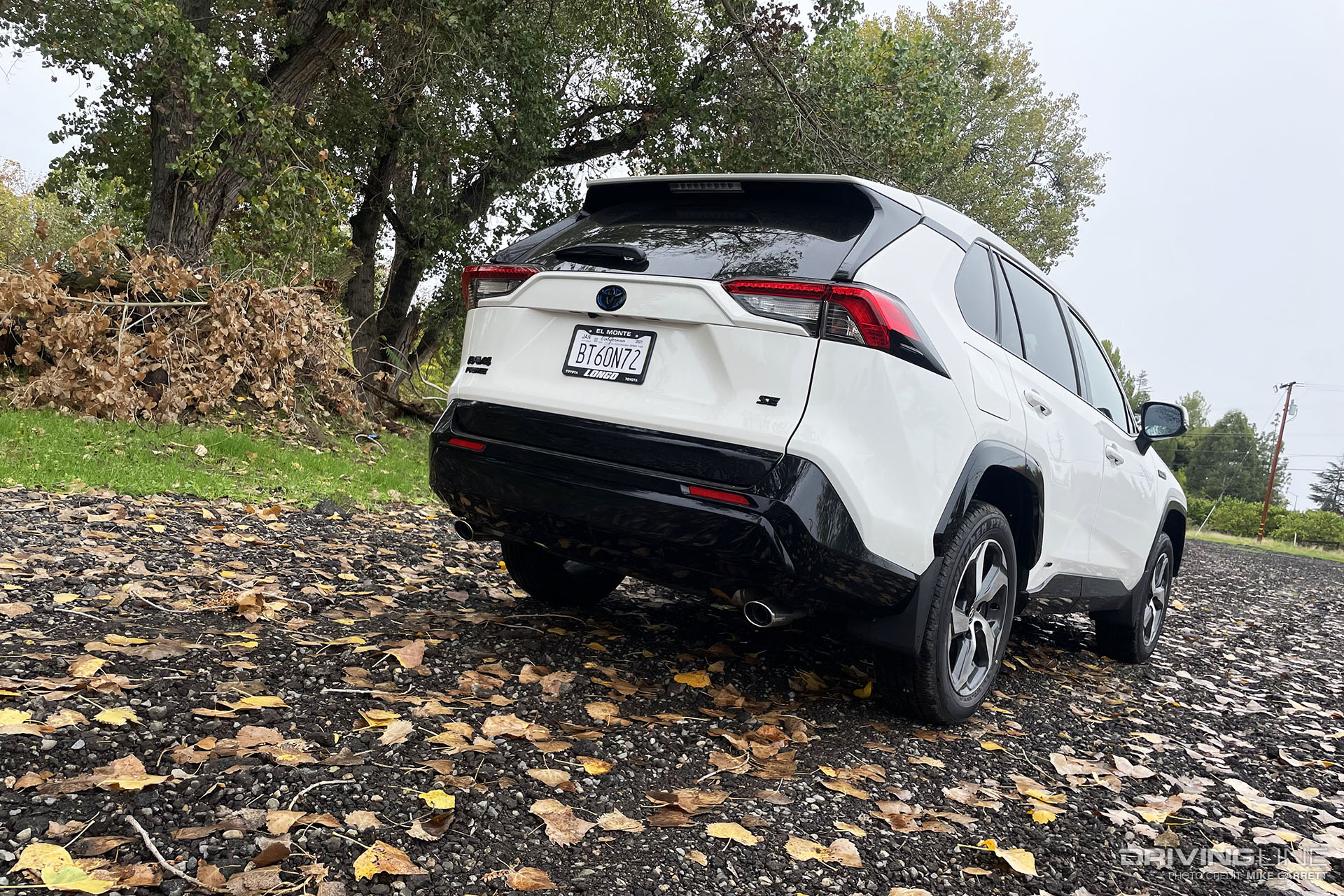 Toyota RAV4 Prime SE Rear View