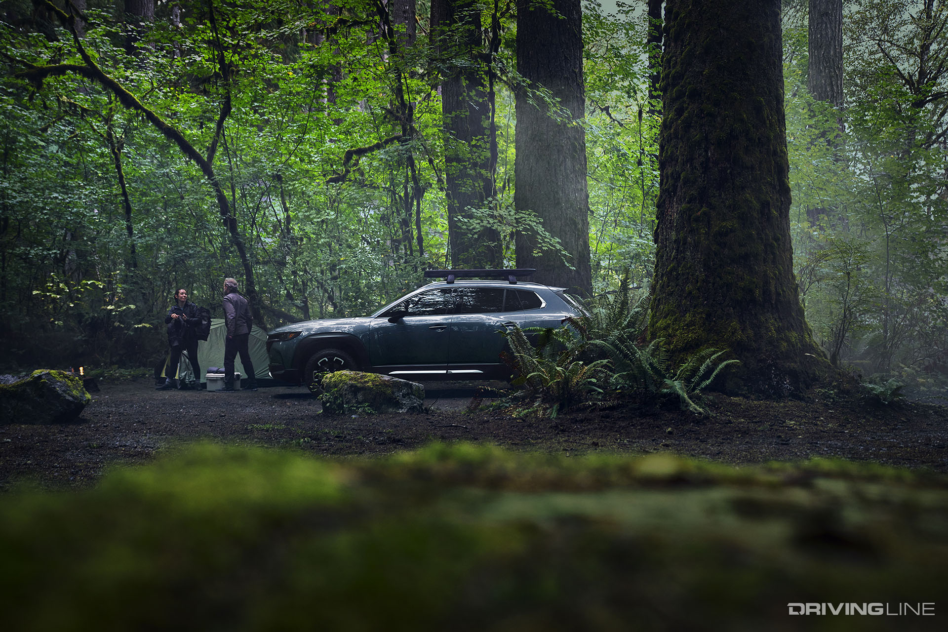 2022 Mazda CX-50 in Forest