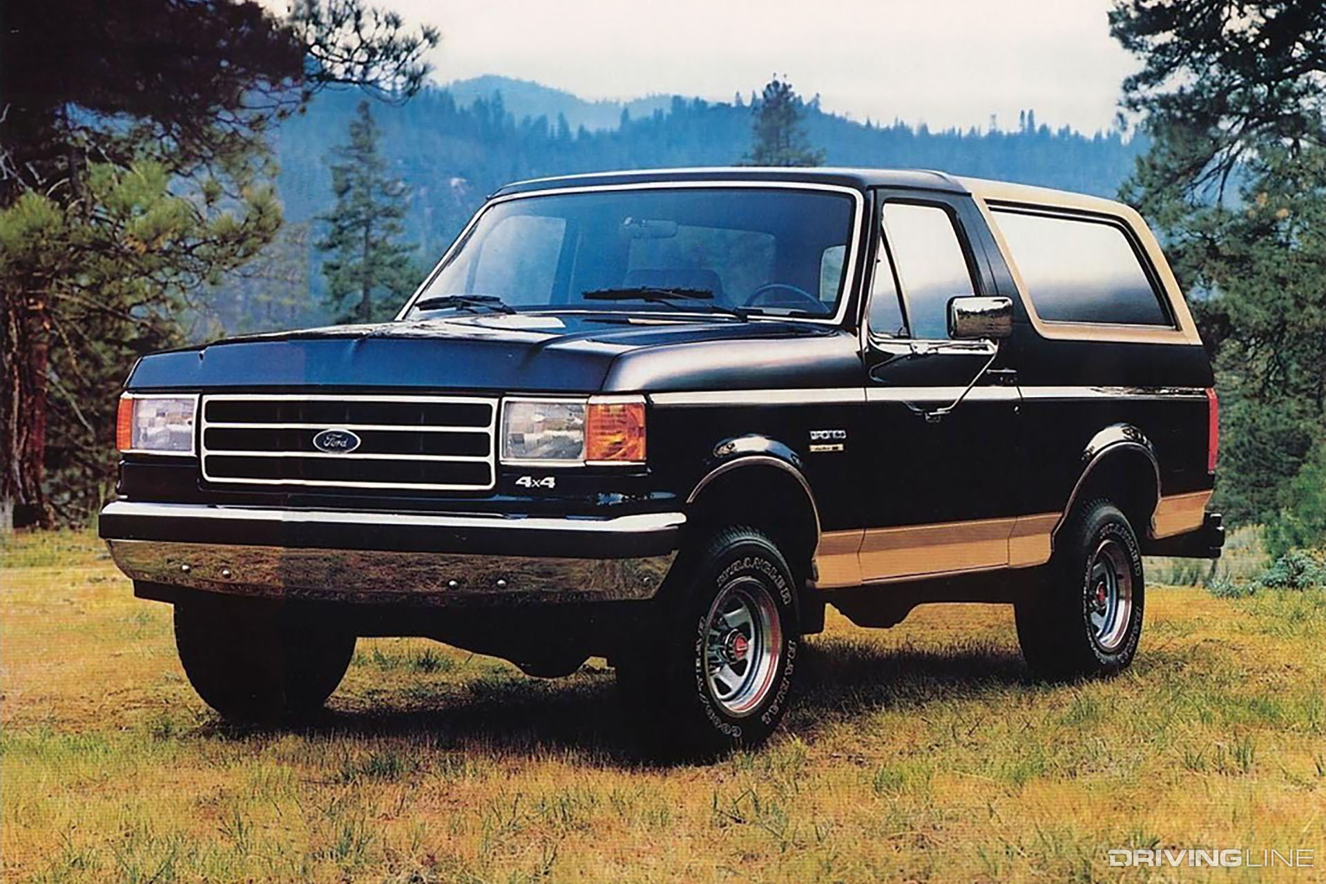 Ford Bronco Black and Tan