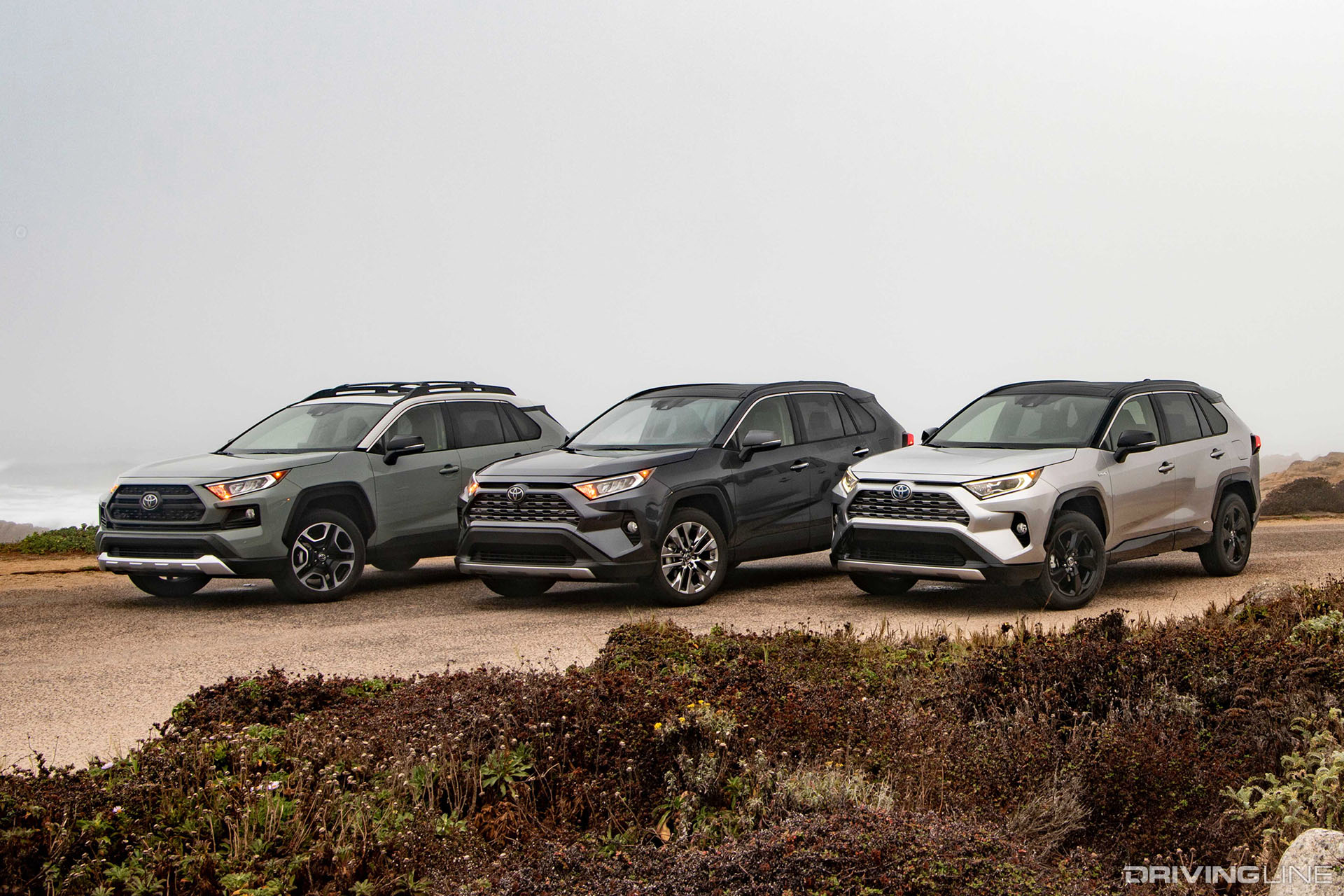 2019 Toyota RAV4 Lineup