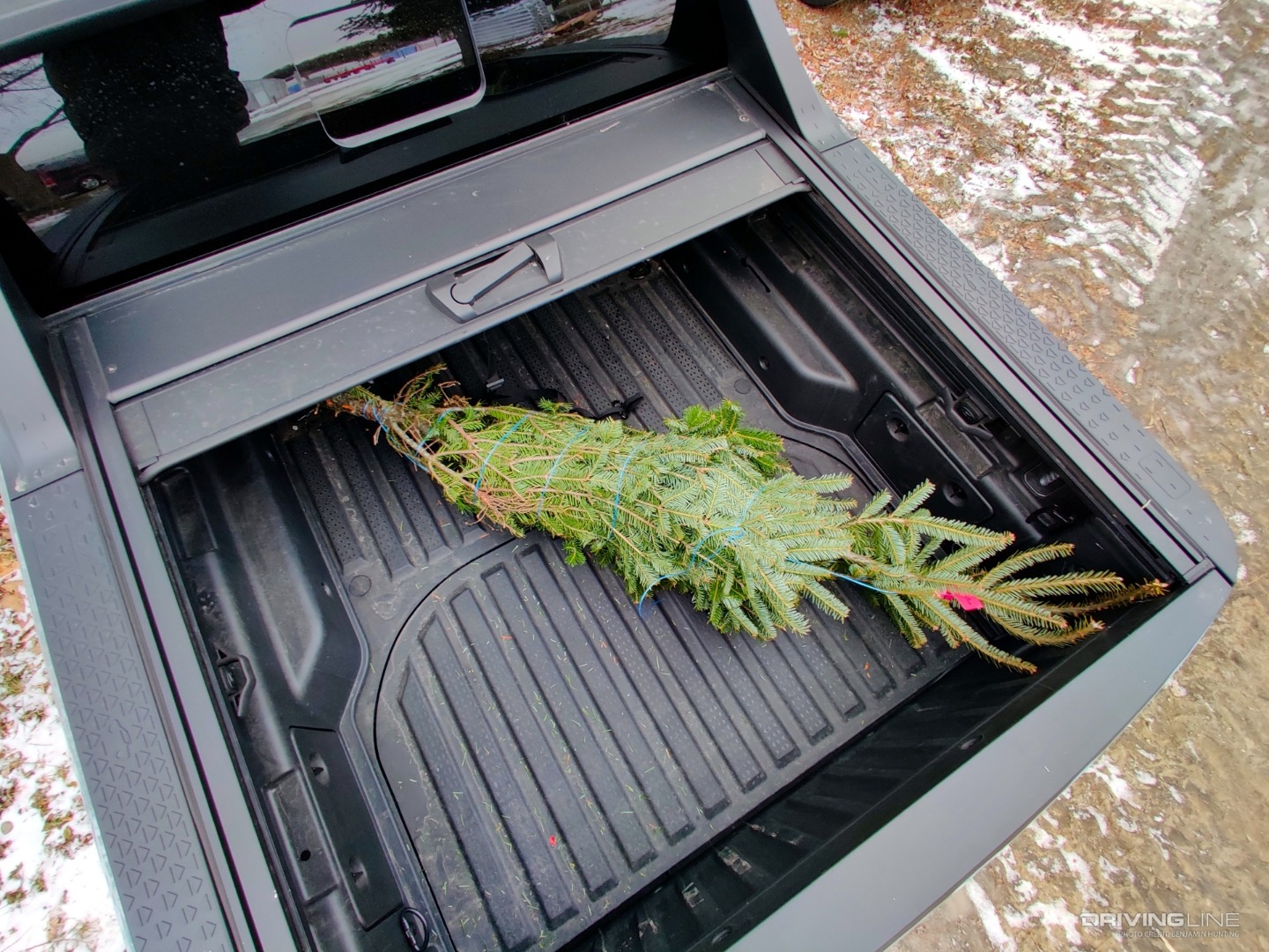 2022 Hyundai Santa Cruz Christmas tree in cargo bed