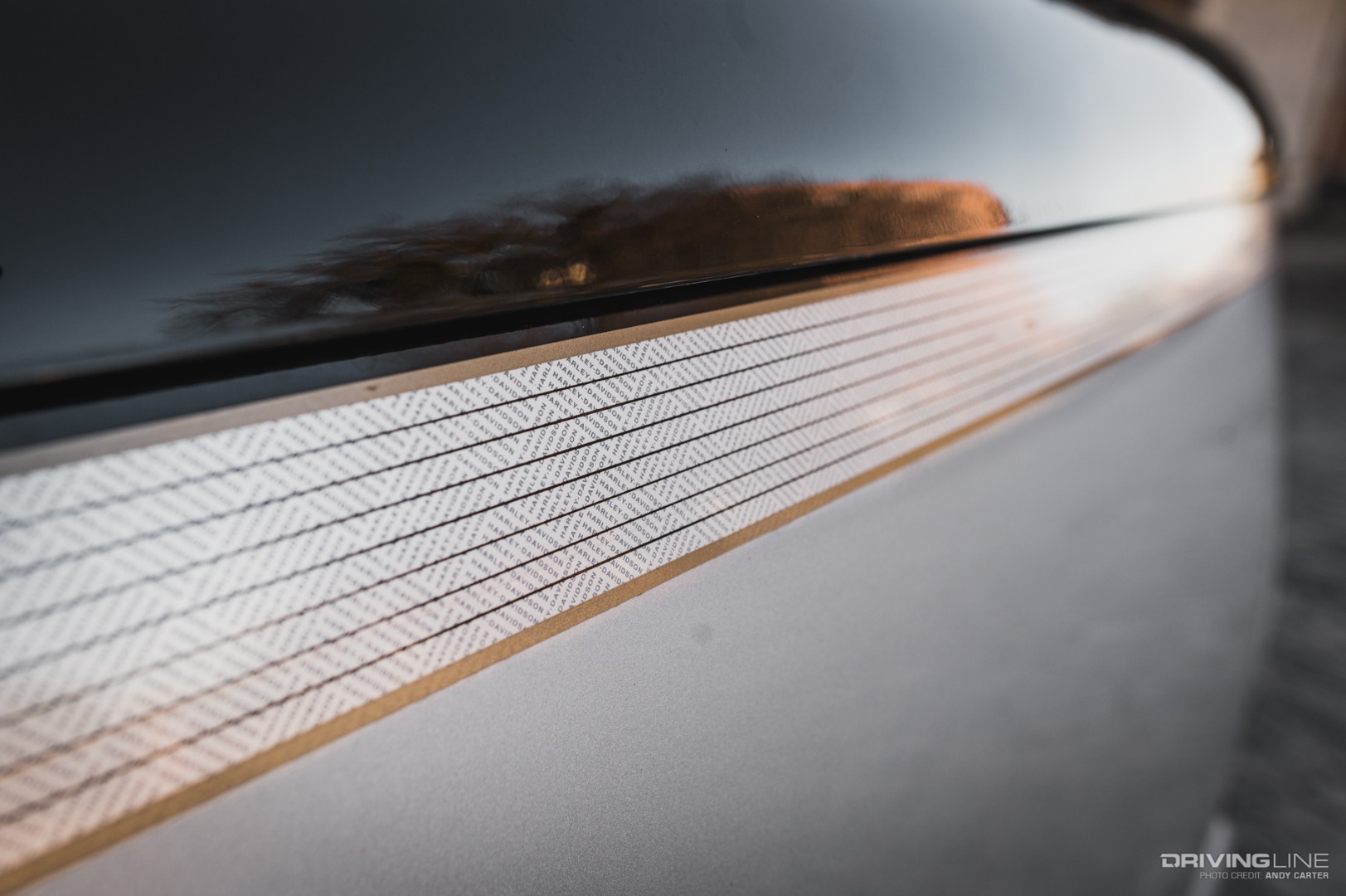 Harley Davidson edition pinstriping detail on F-150