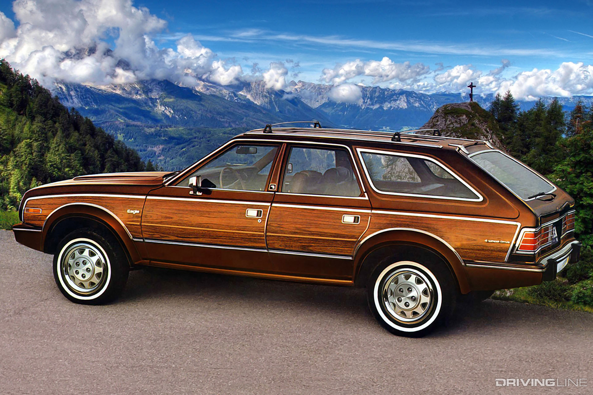 AMC Eagle Brown with Wood