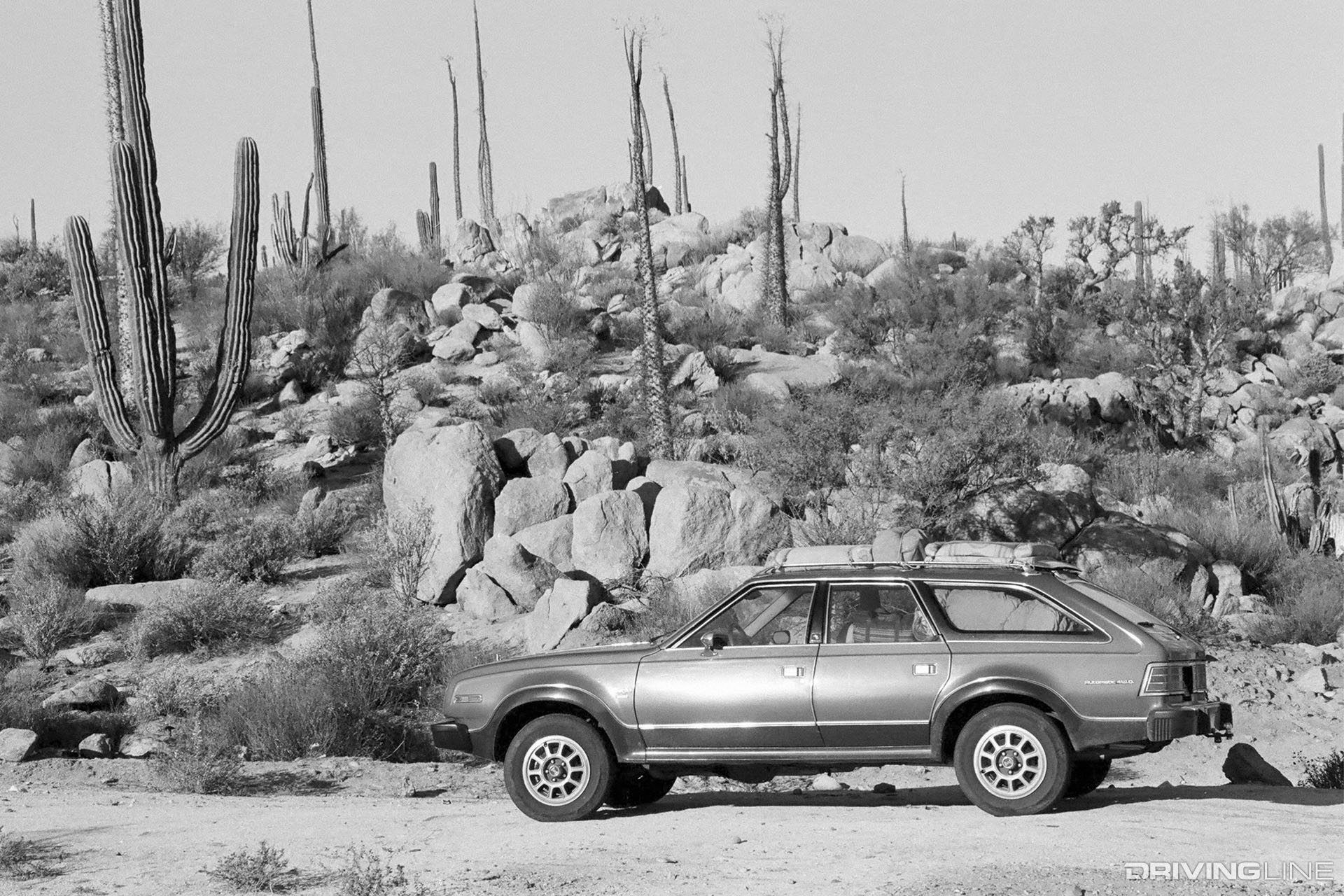 AMC Eagle Wagon in Desert