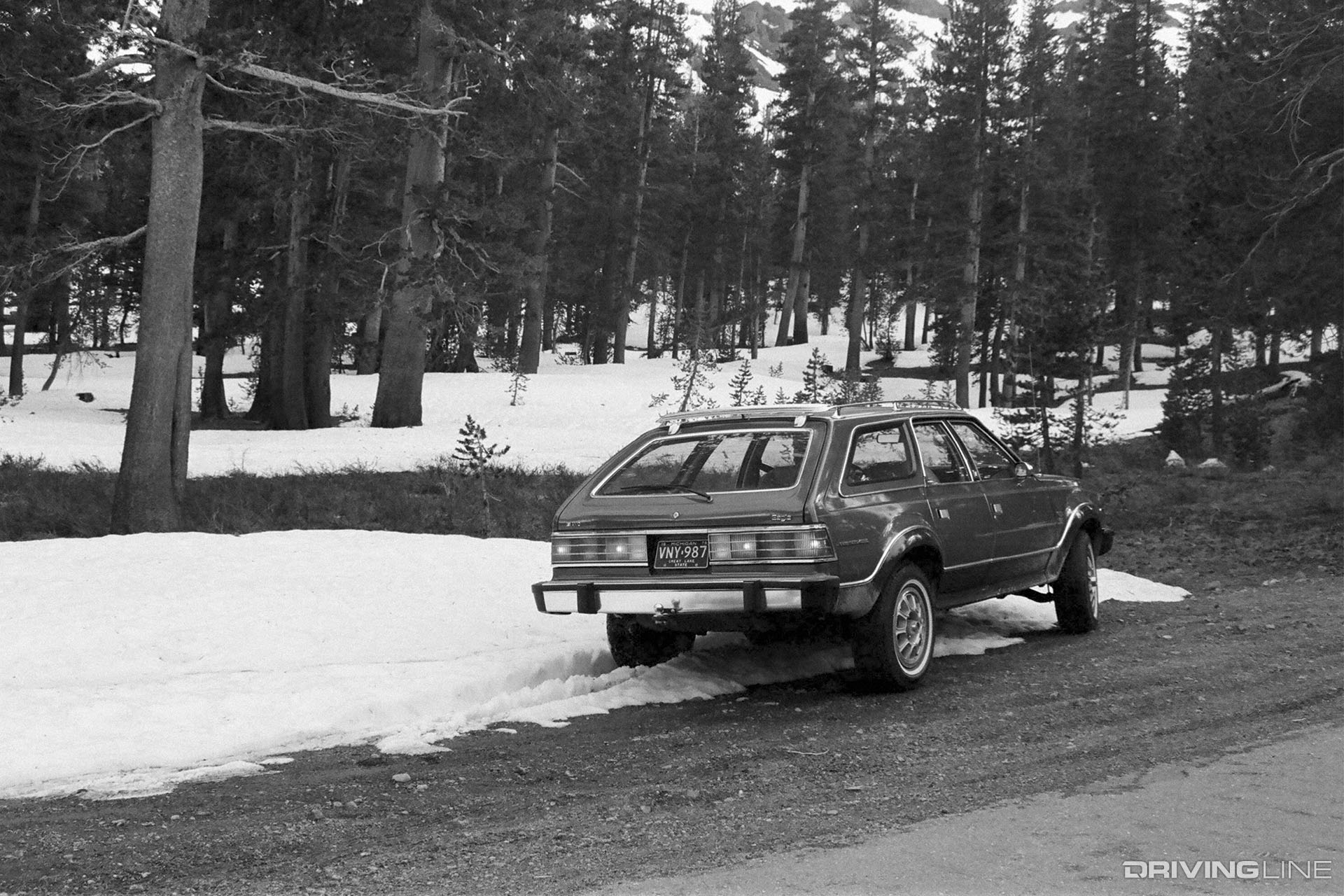 AMC Eagle In Snow