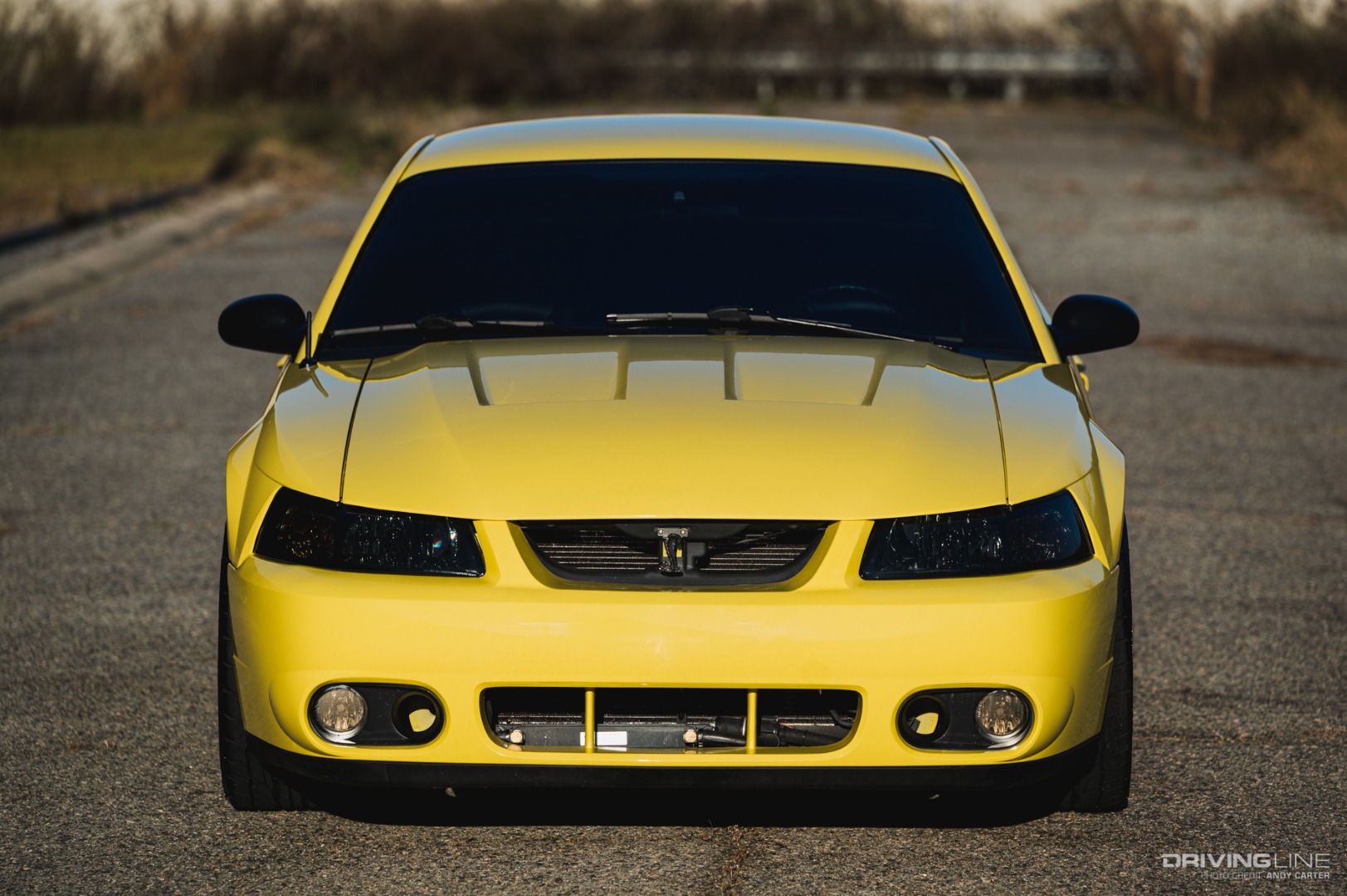 2001 Mustang Cobra with 2003 front end