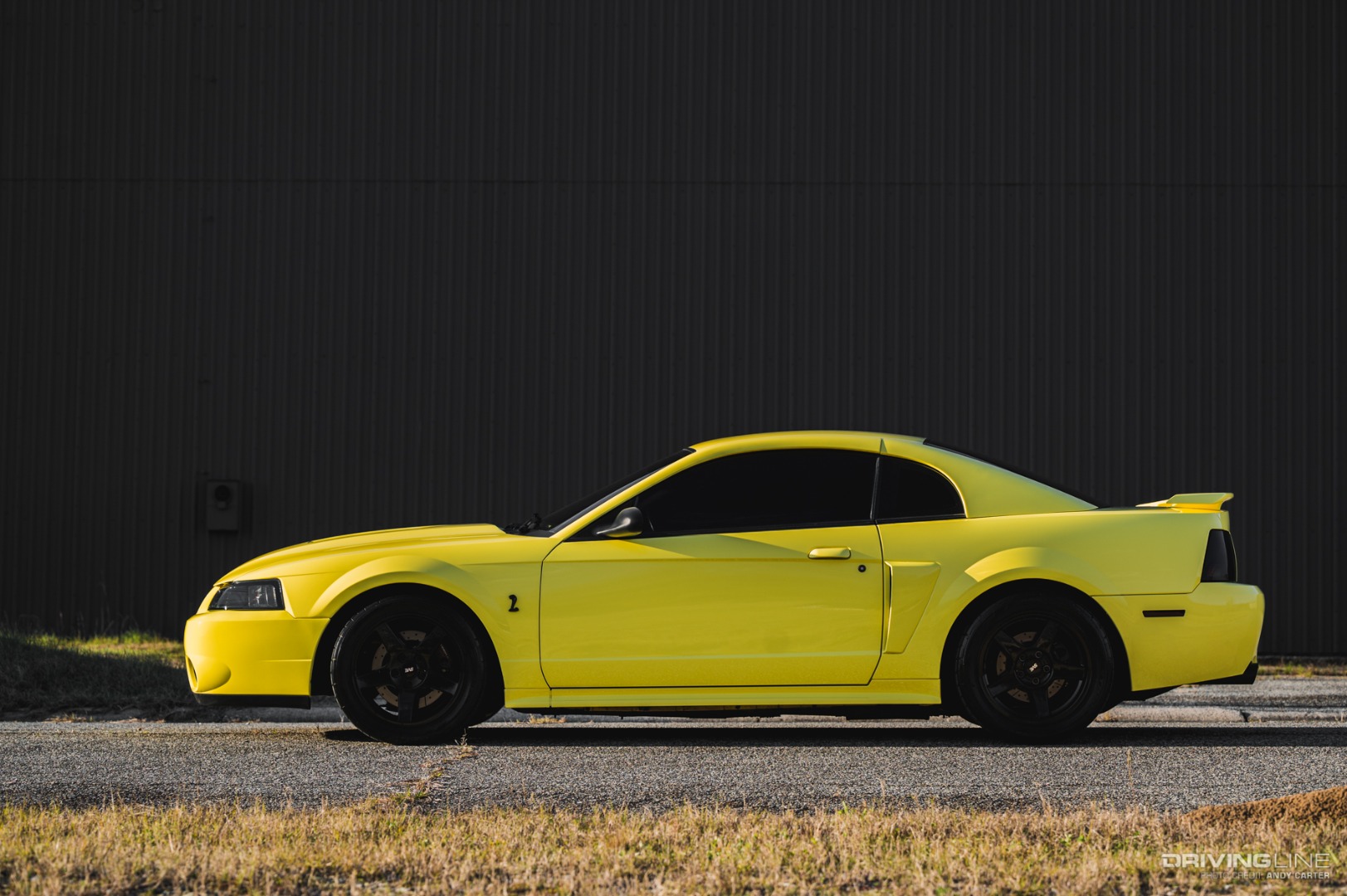 Side View of Ford Mustang Cobra