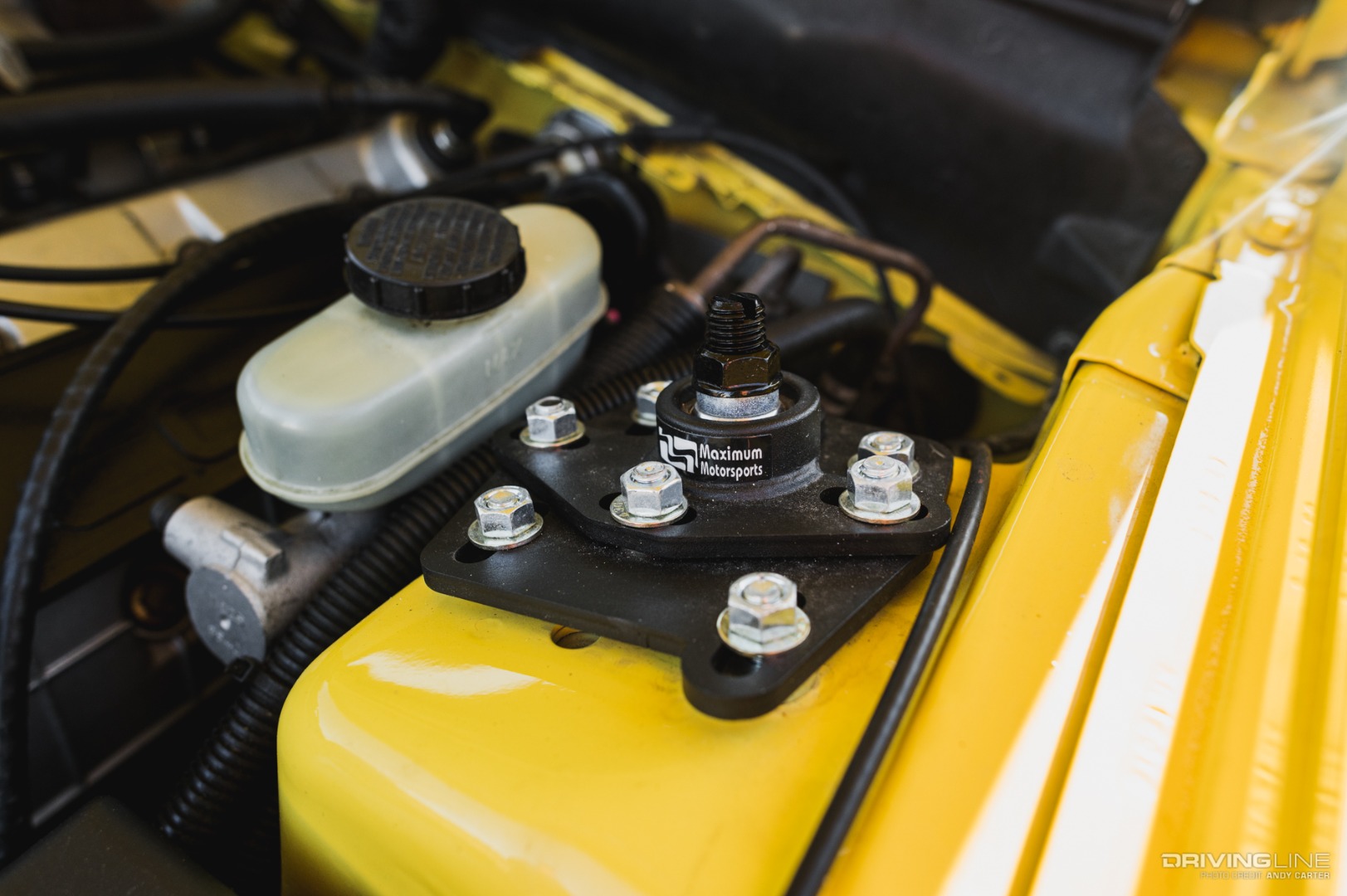 Maxim Motorsports camber plate in Ford Mustang