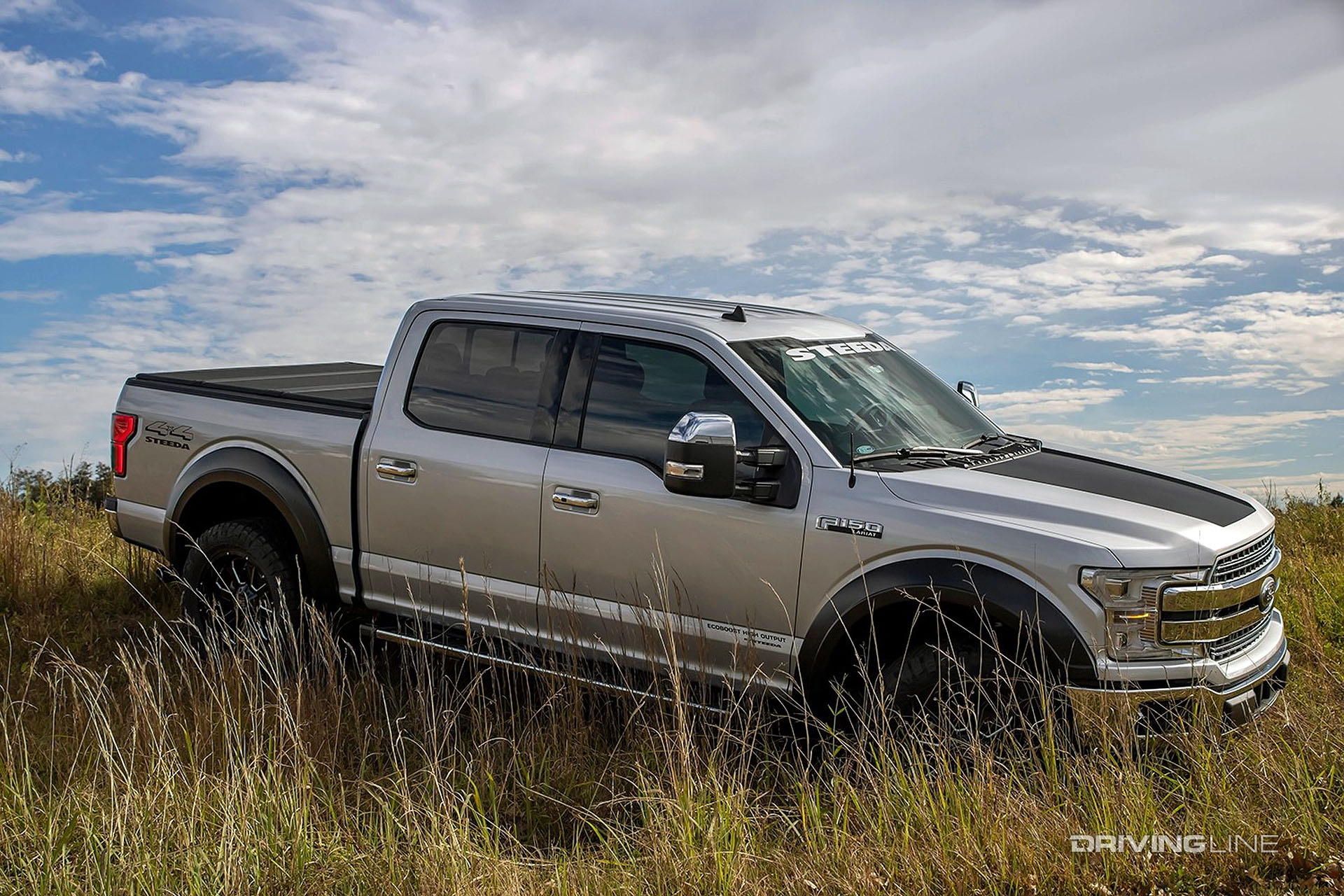 steeda f-150 off-roading in some weeds