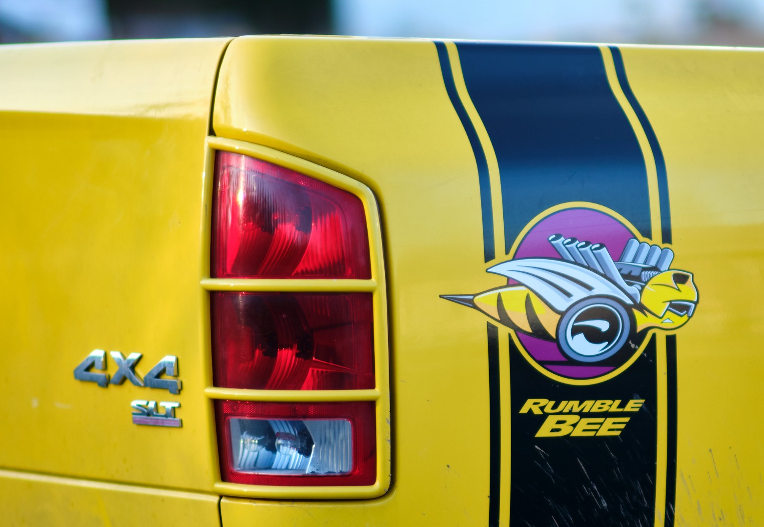 2004 Ram 1500 Rumble Bee rear graphics