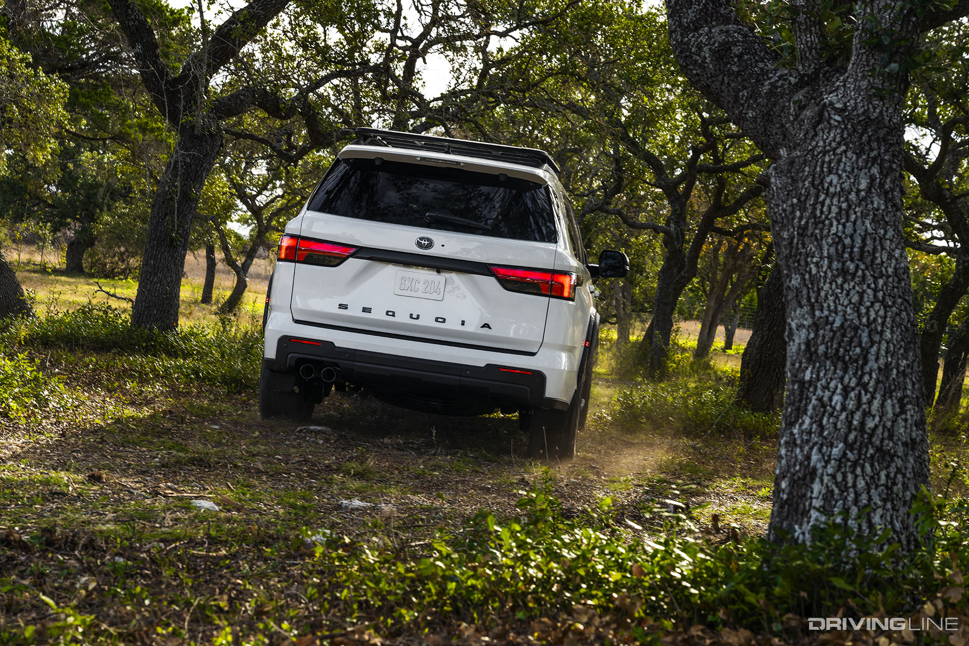 2023 Toyota Sequoia TRD Pro Rear View