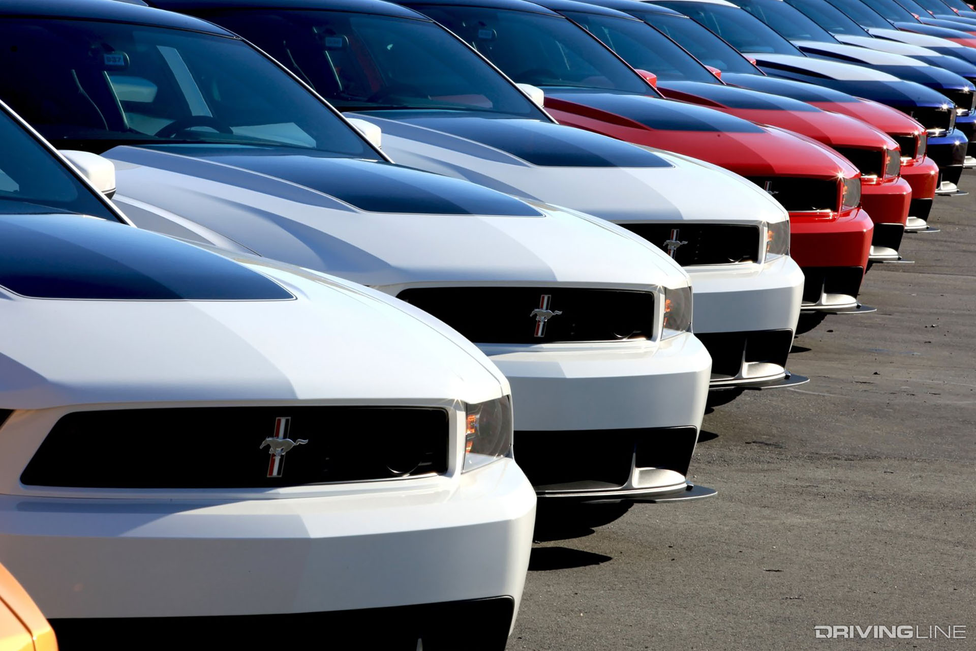 Mustang Boss 302 Lineup