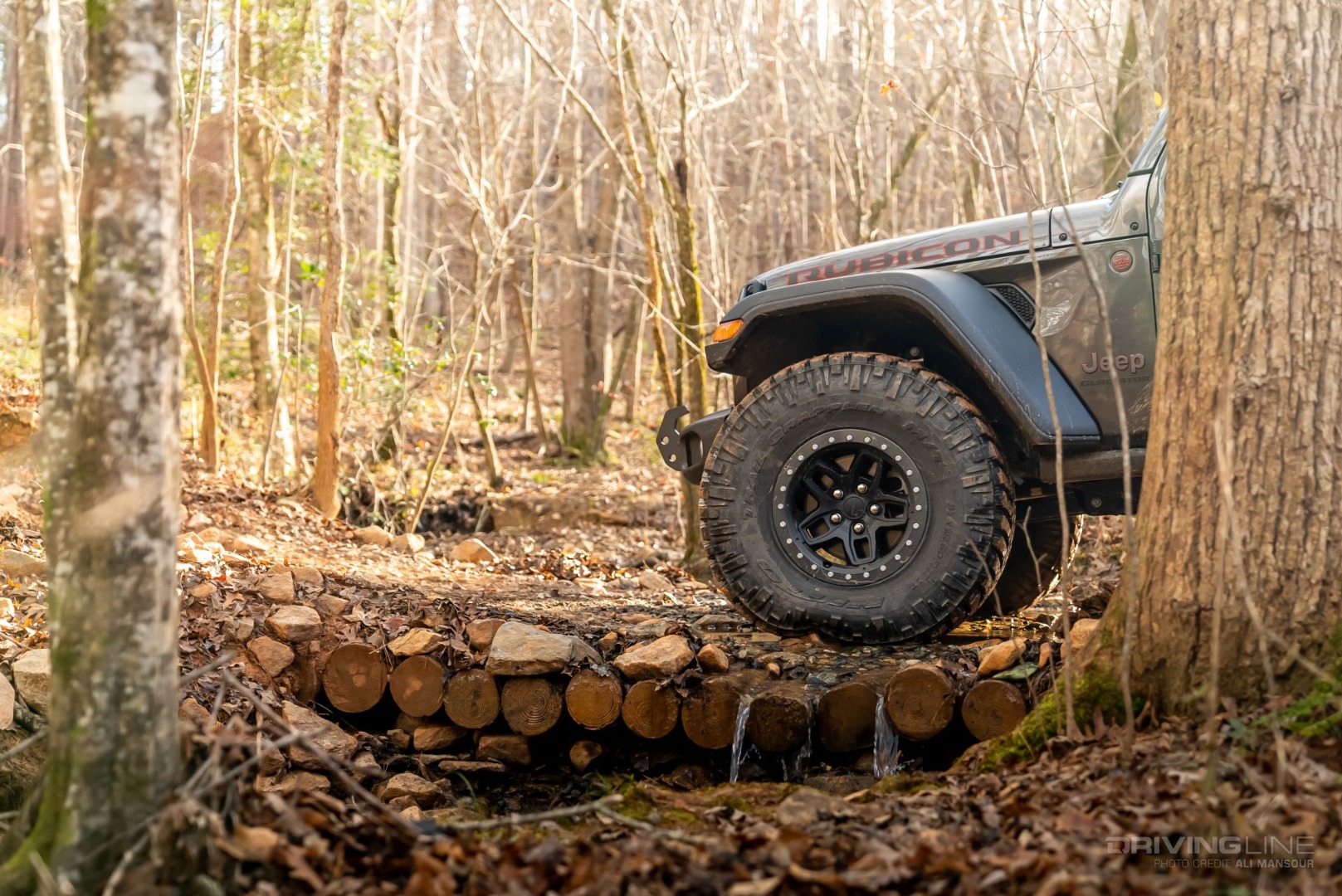 Front end of Jeep in forest on Nitto Trail Grappler M/T tires