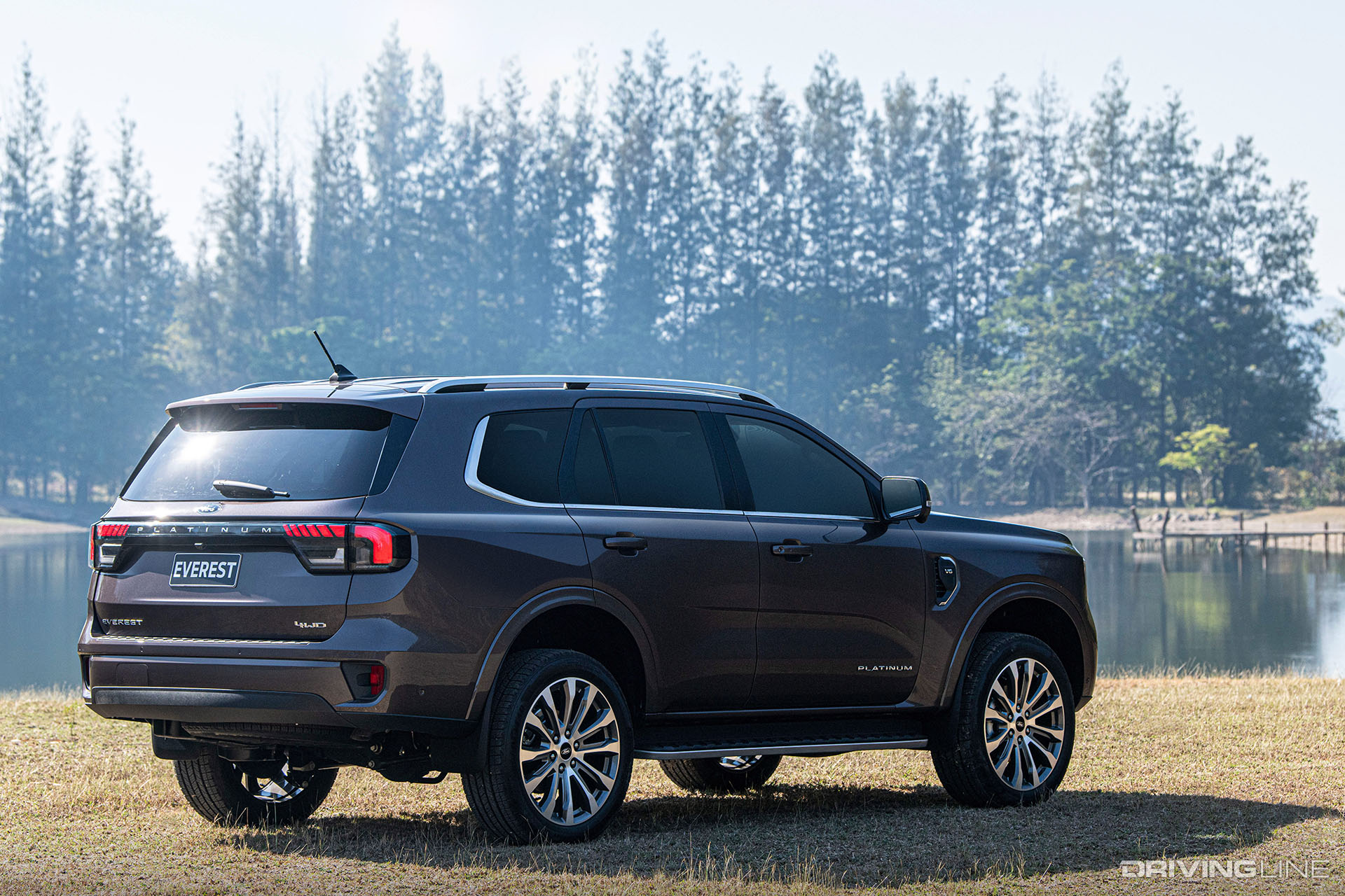 Ford Everest 2022 Rear View