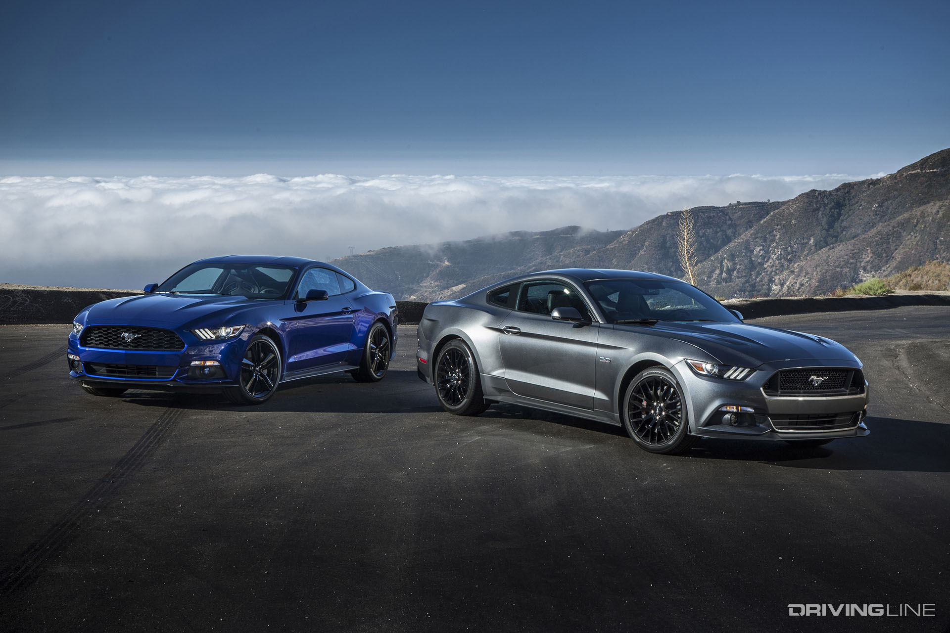 2015 Mustang GT and EcoBoost