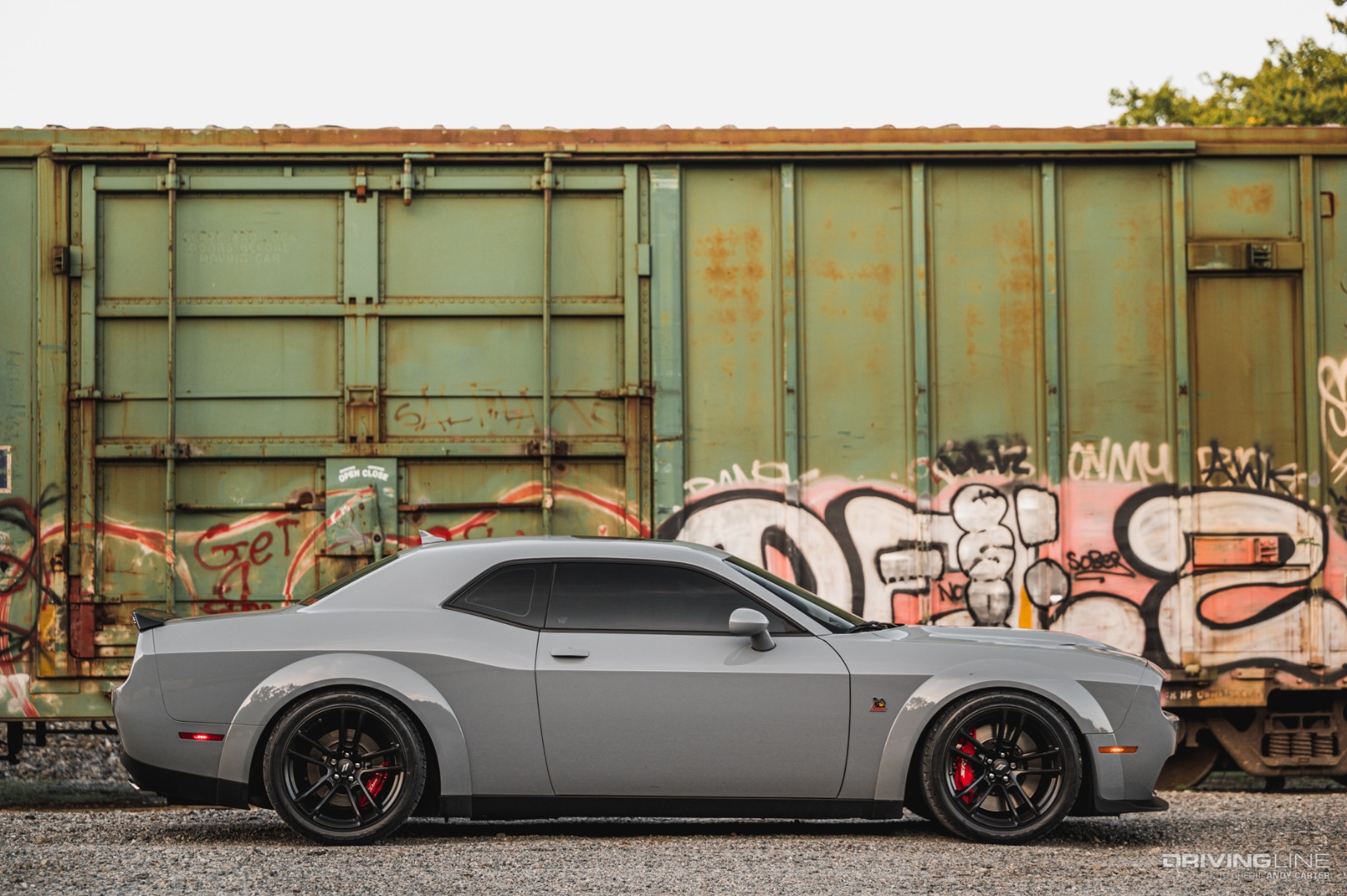 Dodge Challenger Widebody Profile