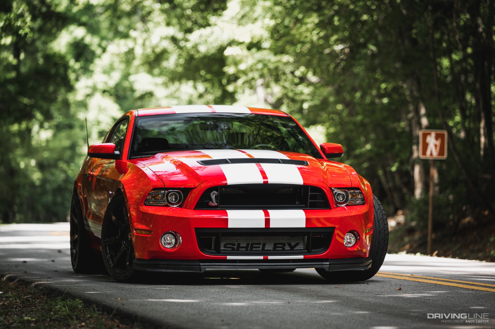 Ford Shelby GT500 front view