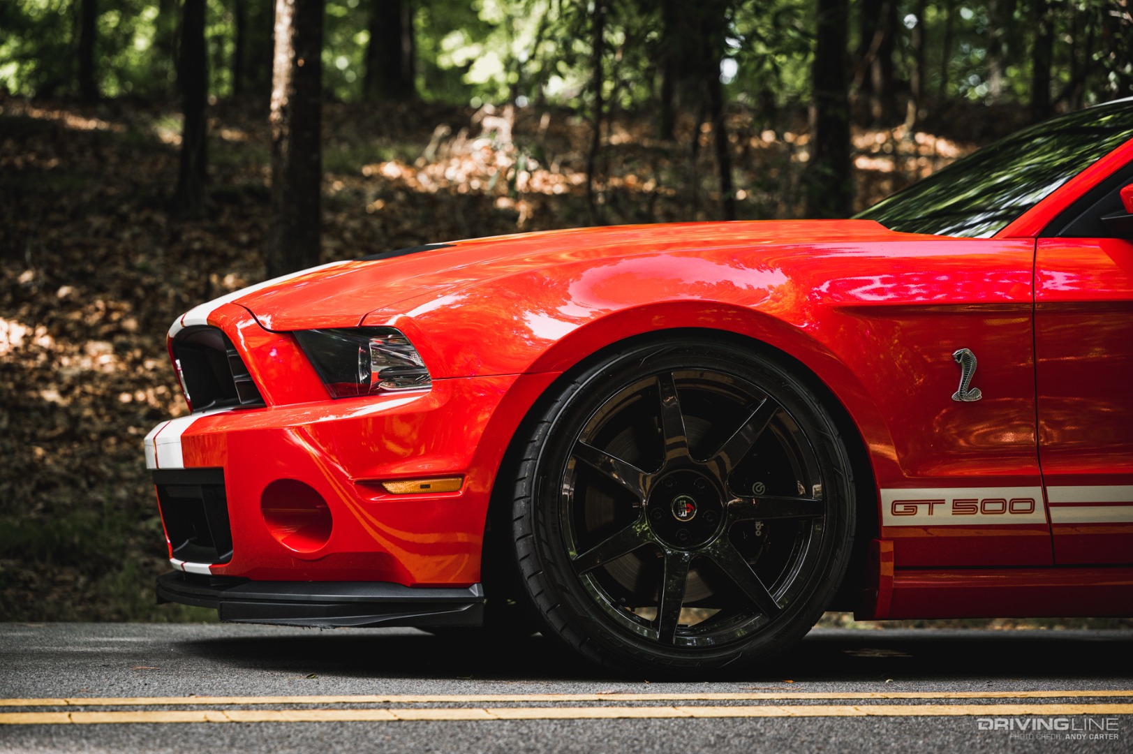 2014 Ford Shelby Cobra GT500 side view
