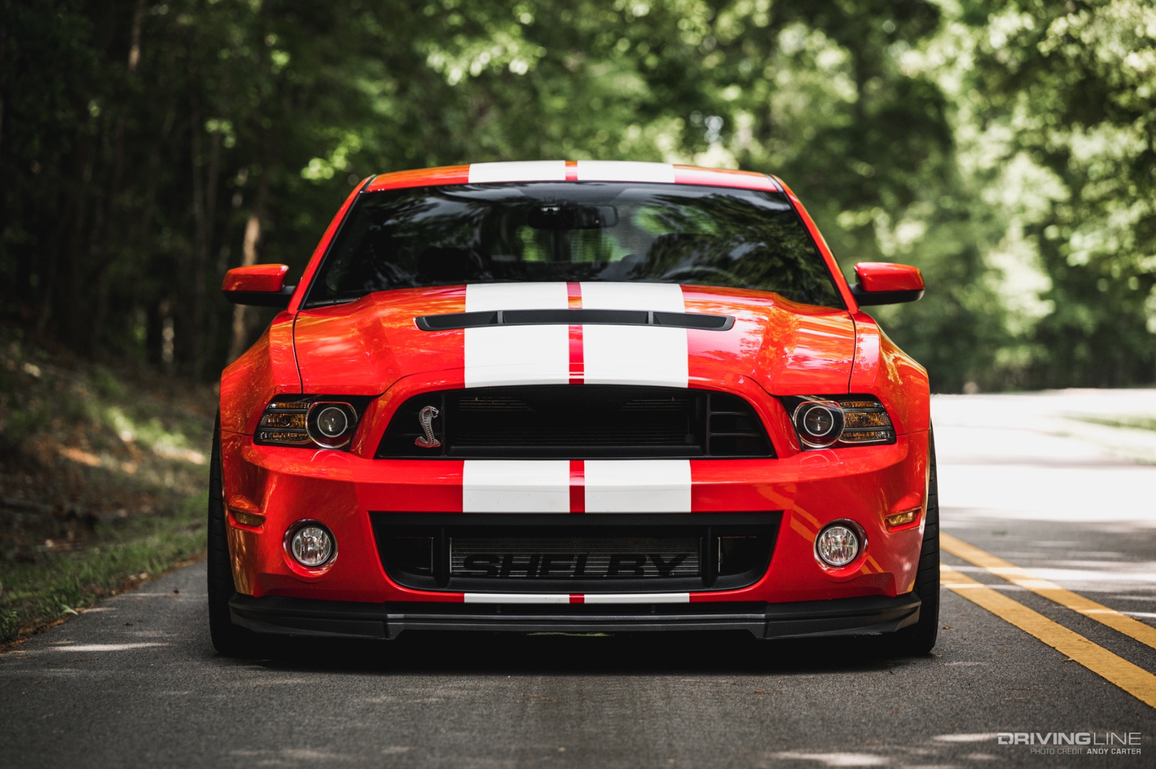 2014 Ford Shelby Cobra GT500 front view