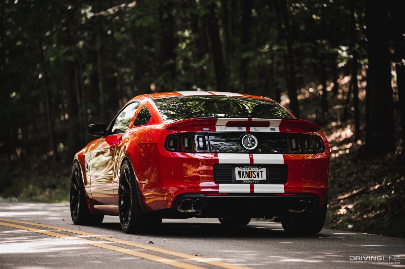 Ford Shelby Cobra GT500 rear view