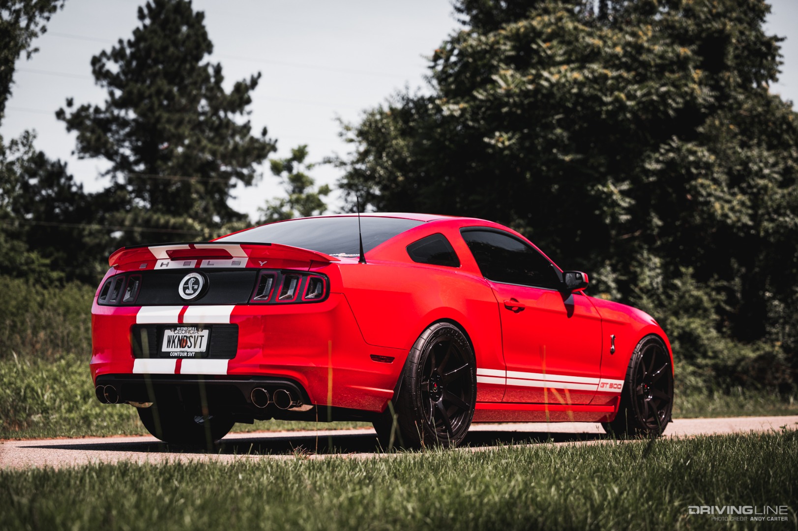 2014 Ford Shelby Cobra GT500 rear view