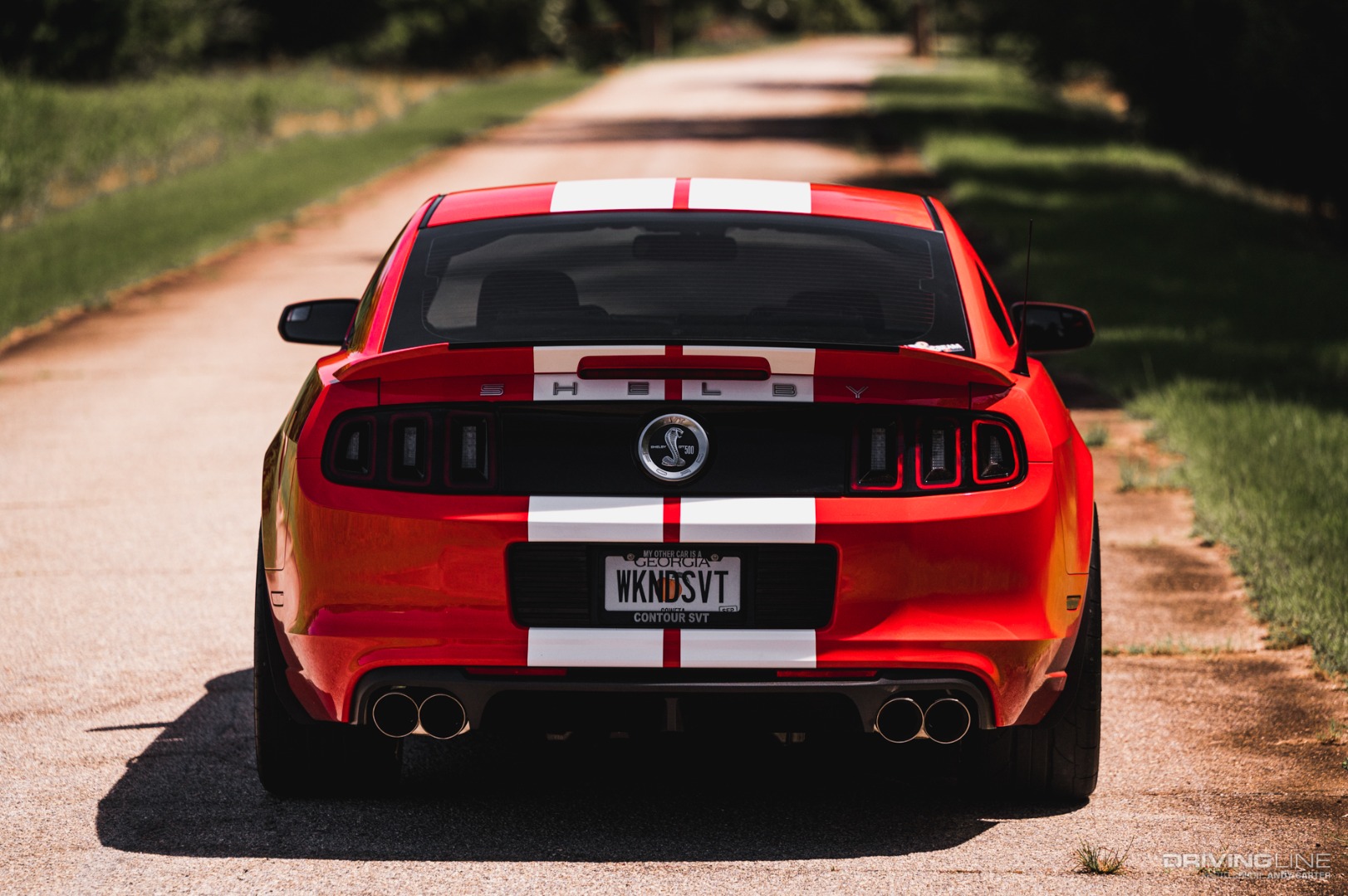 Ford Shelby Cobra GT500 rear angle
