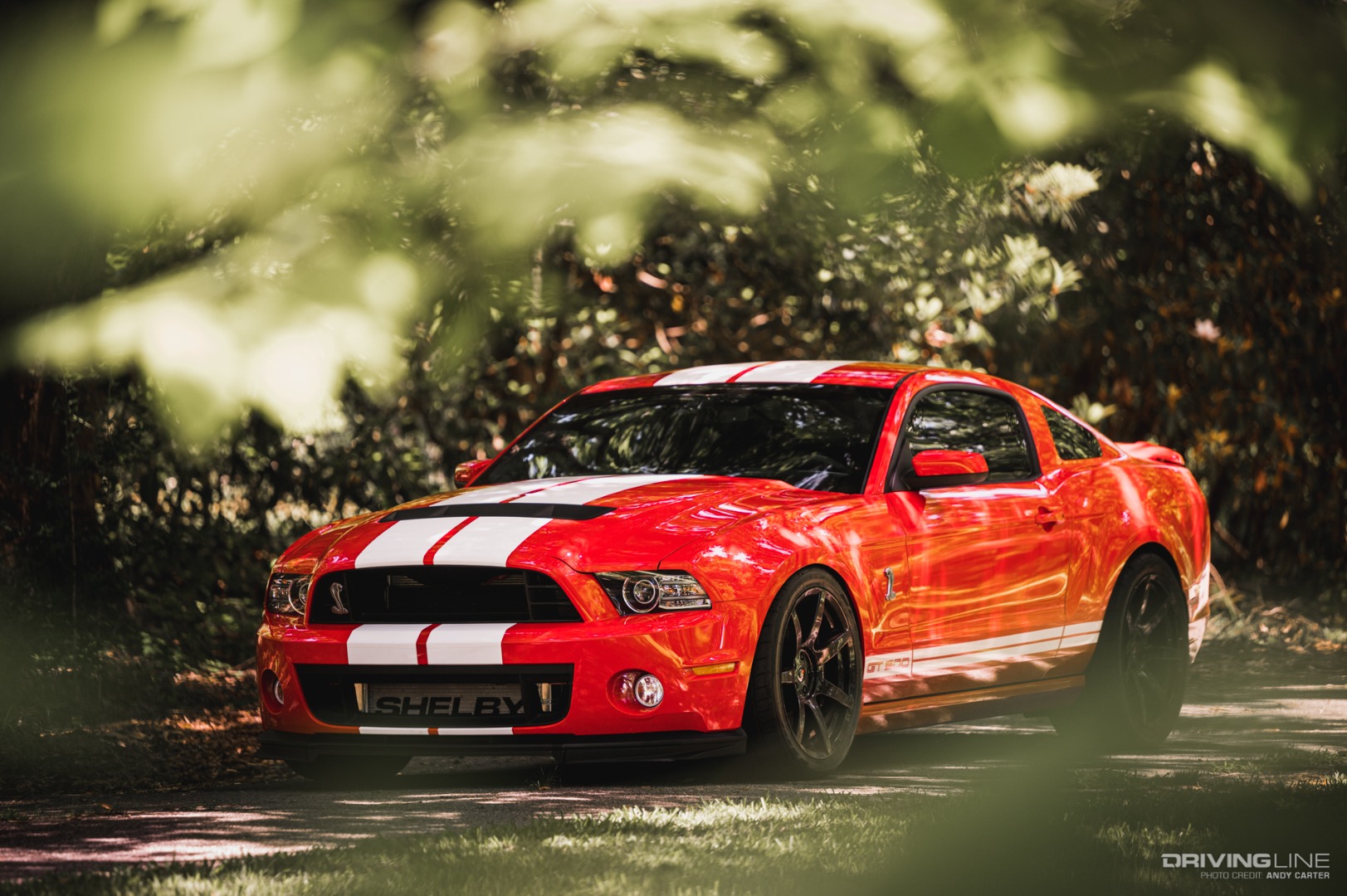 2014 Ford Shelby Cobra GT500 front angle