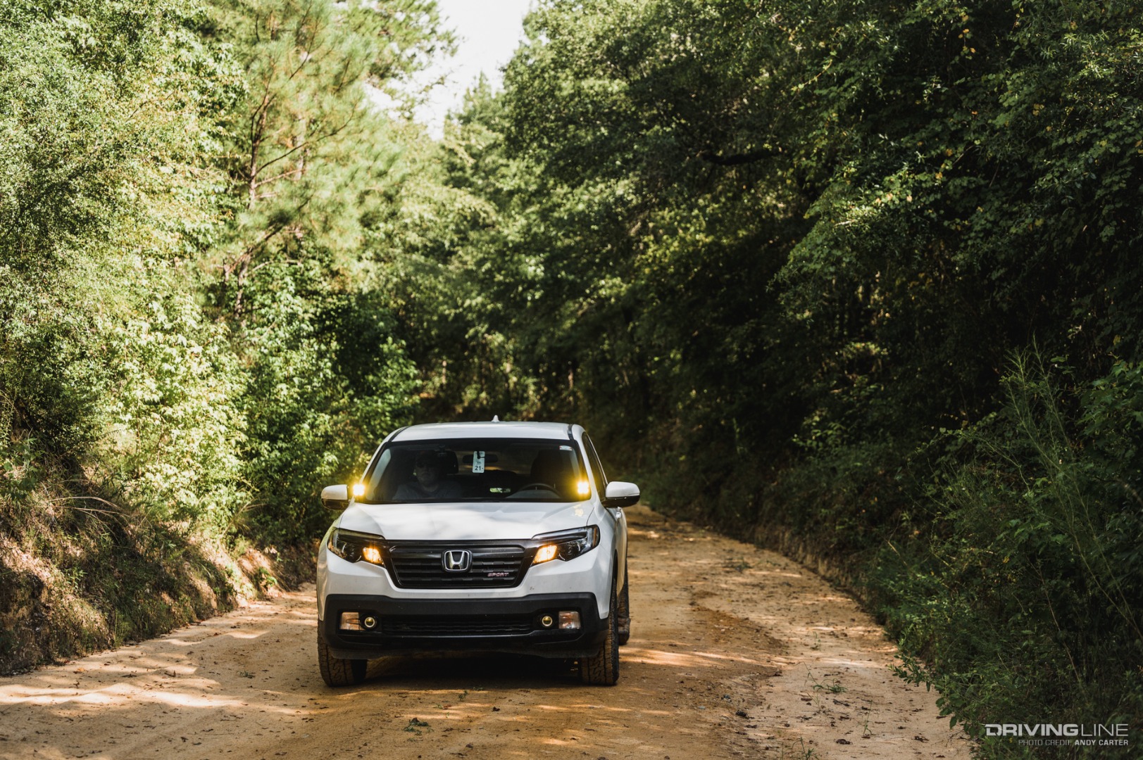 Georgia Adventure Trail